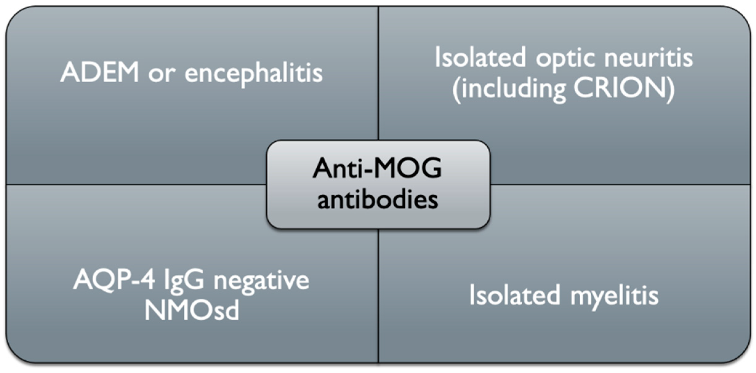 optic neuritis anti mog