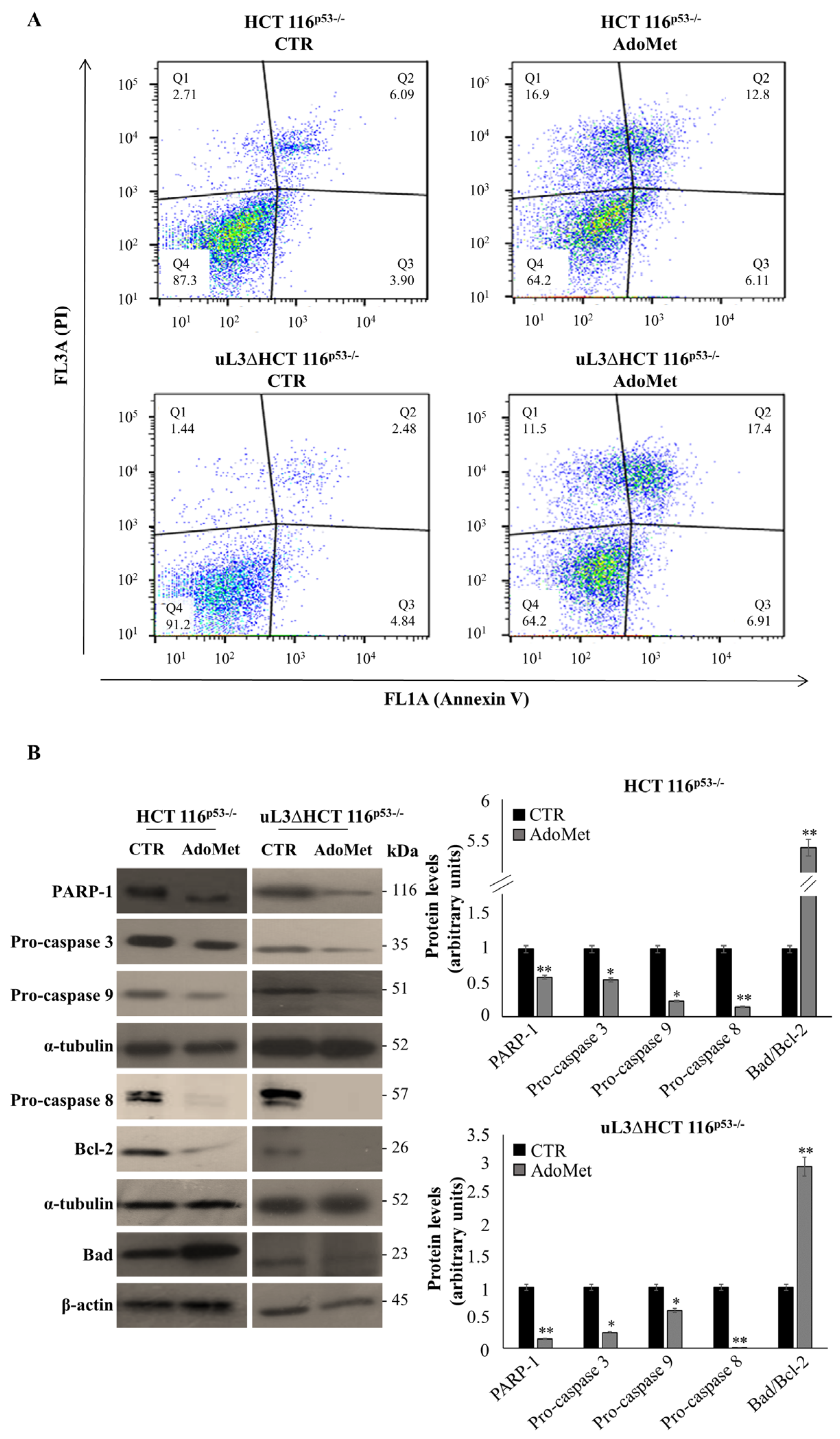 Ijms 22 00103 g004 Ijms 22 00103 g004