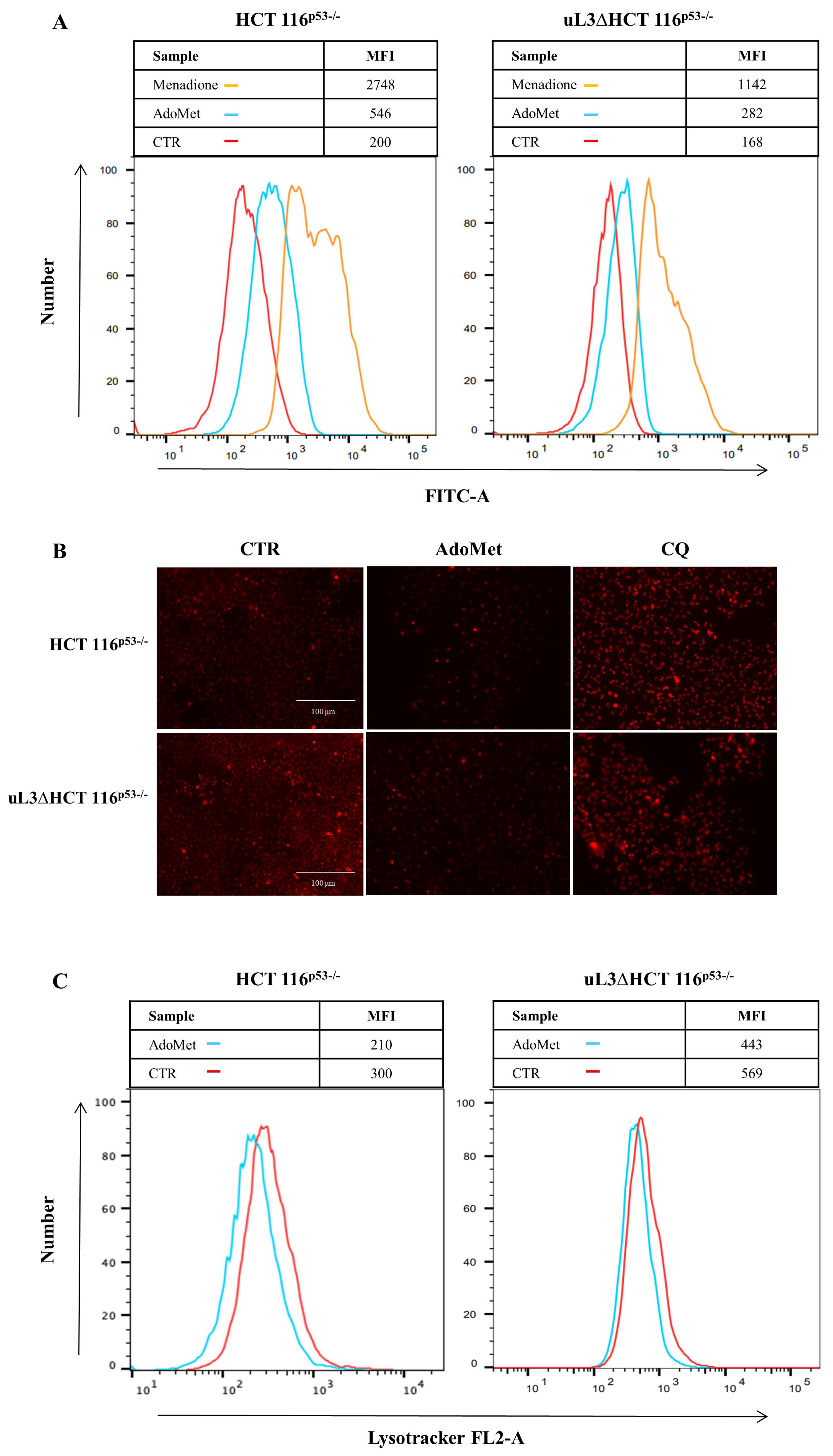 Ijms 22 00103 g005 Ijms 22 00103 g005