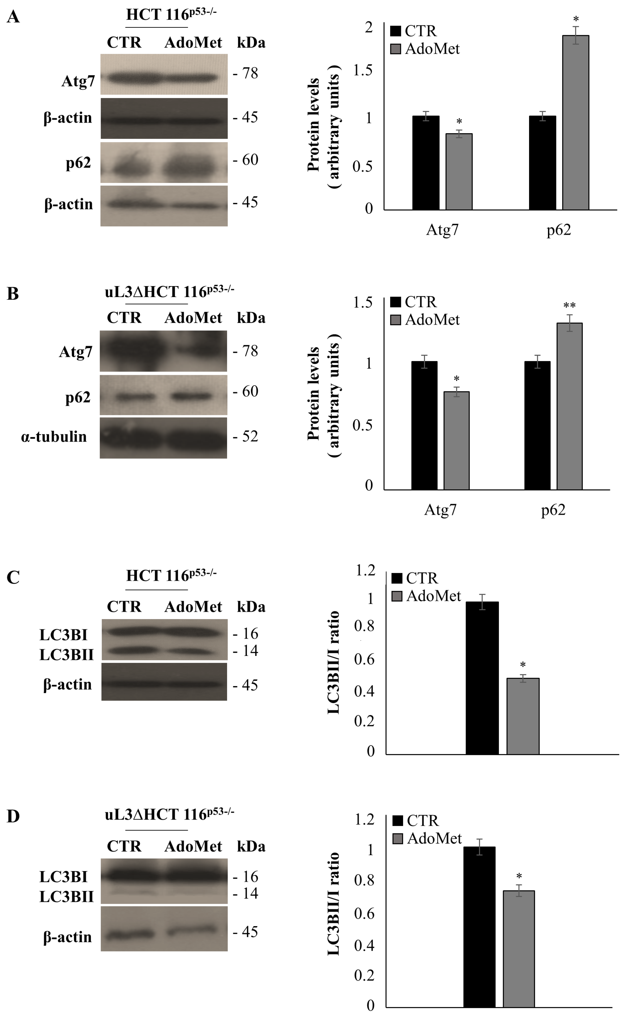Ijms 22 00103 g006 Ijms 22 00103 g006