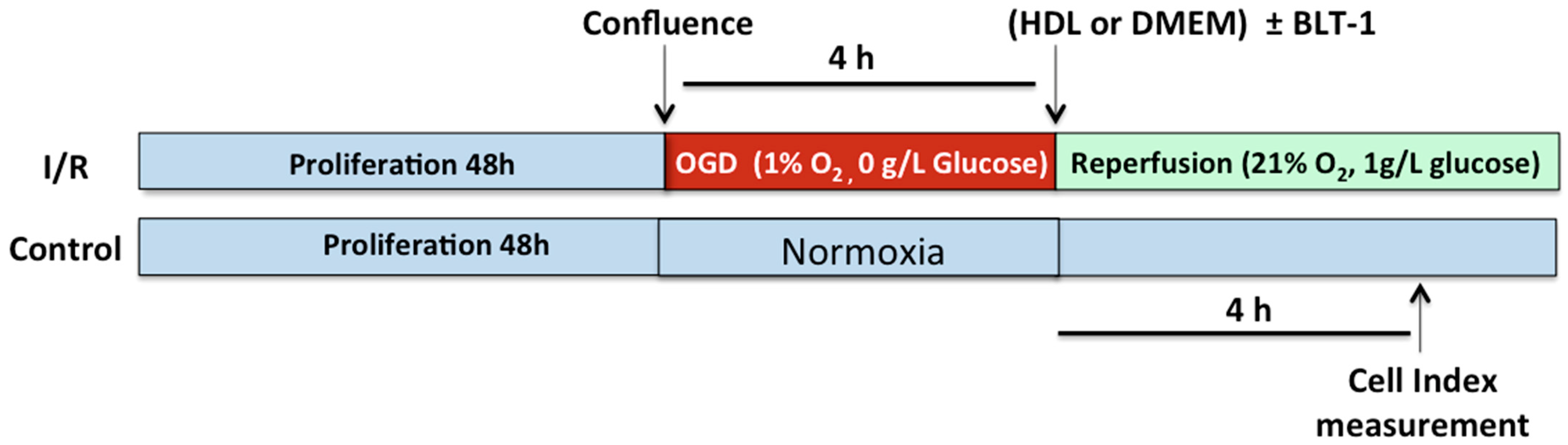 Ijms 22 00106 g003 Ijms 22 00106 g003
