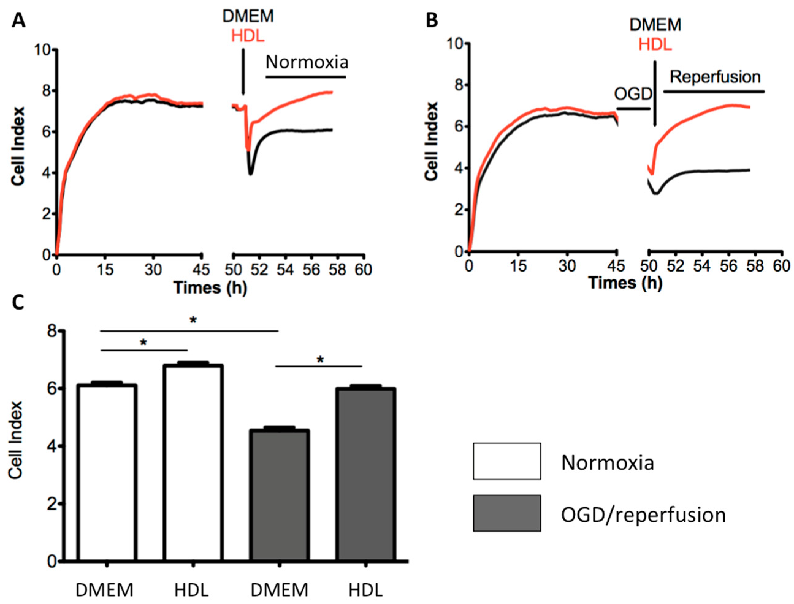 Ijms 22 00106 g004 Ijms 22 00106 g004