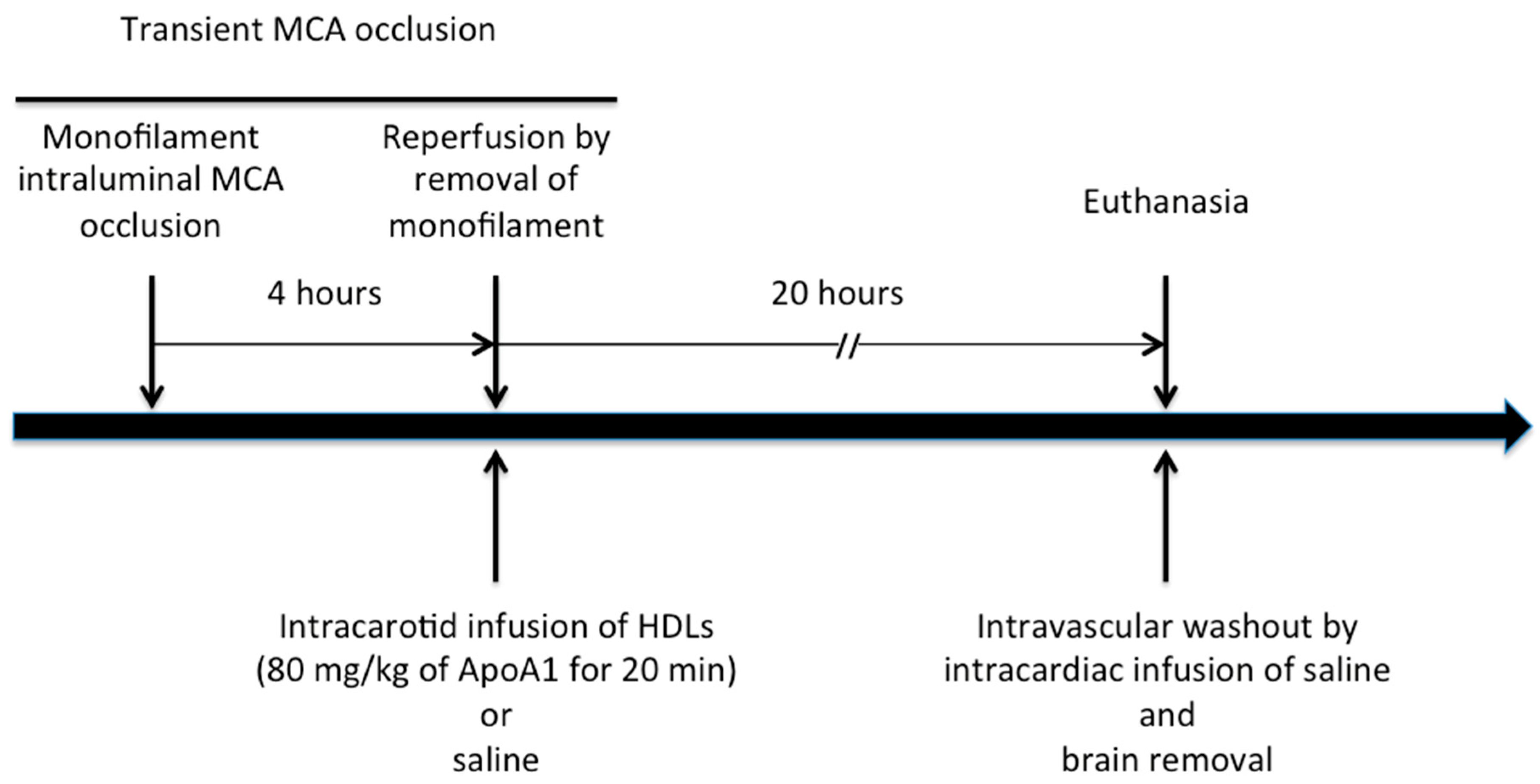 Ijms 22 00106 g006 Ijms 22 00106 g006