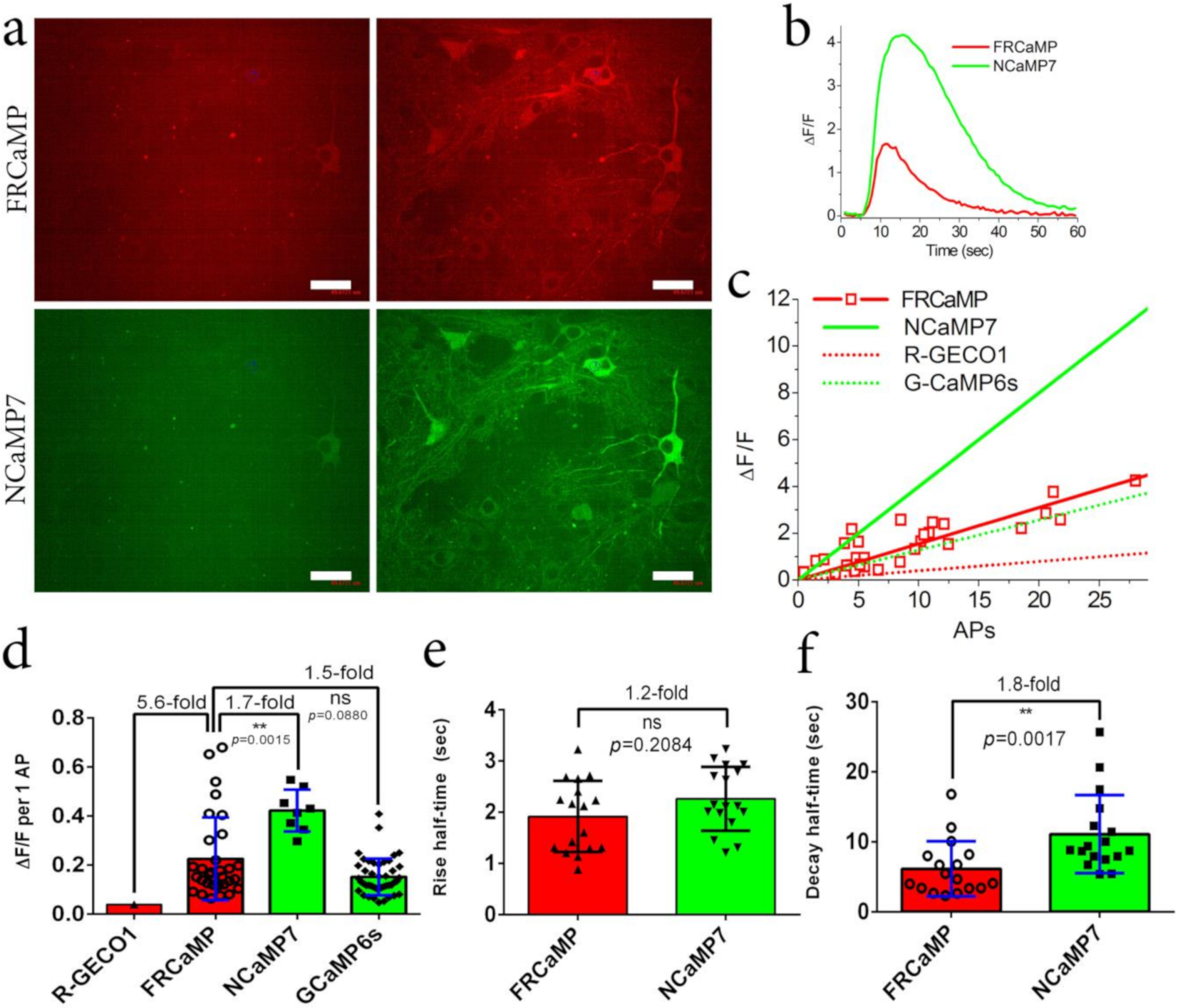 Ijms 22 00111 g005 Ijms 22 00111 g005