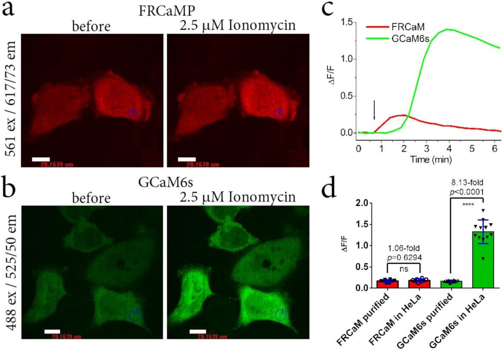 Ijms 22 00111 g006 Ijms 22 00111 g006