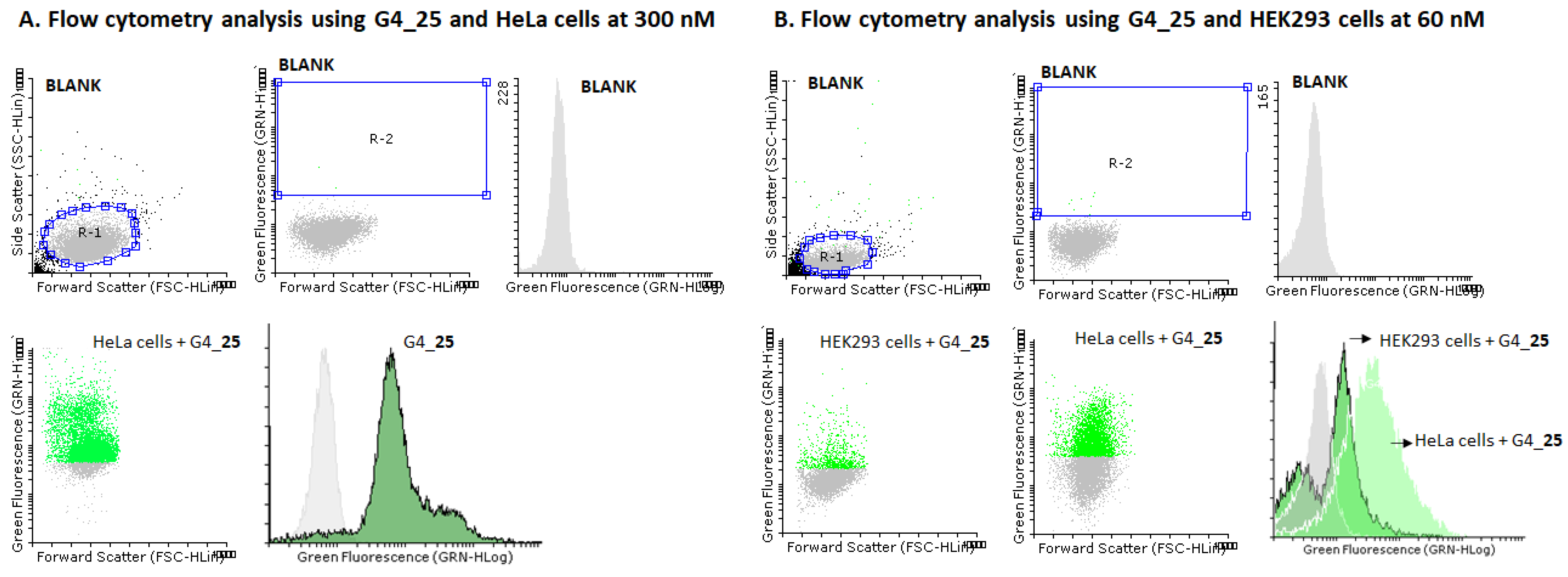Ijms 22 00121 g009 Ijms 22 00121 g009