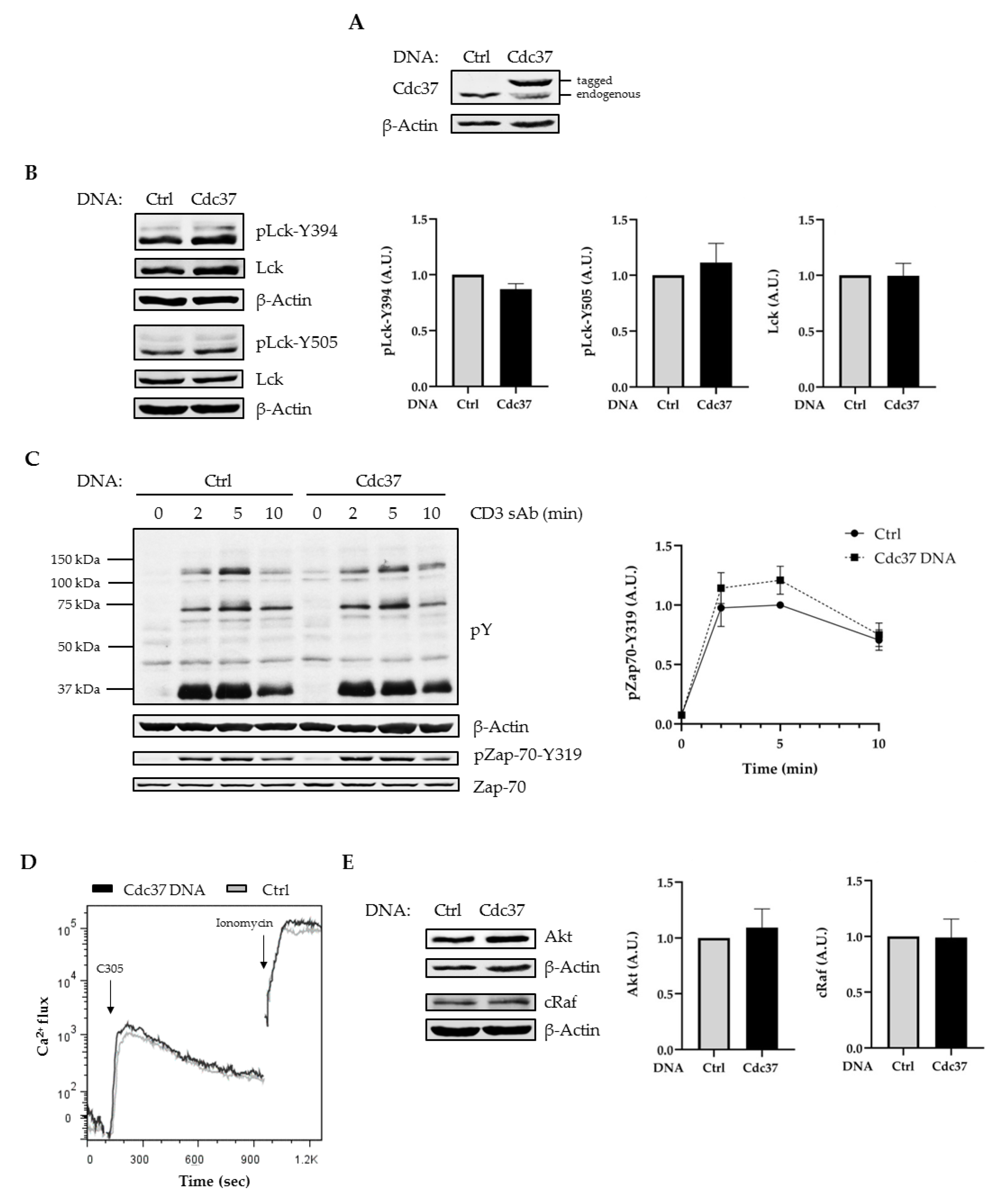 Ijms 22 00126 g001 Ijms 22 00126 g001
