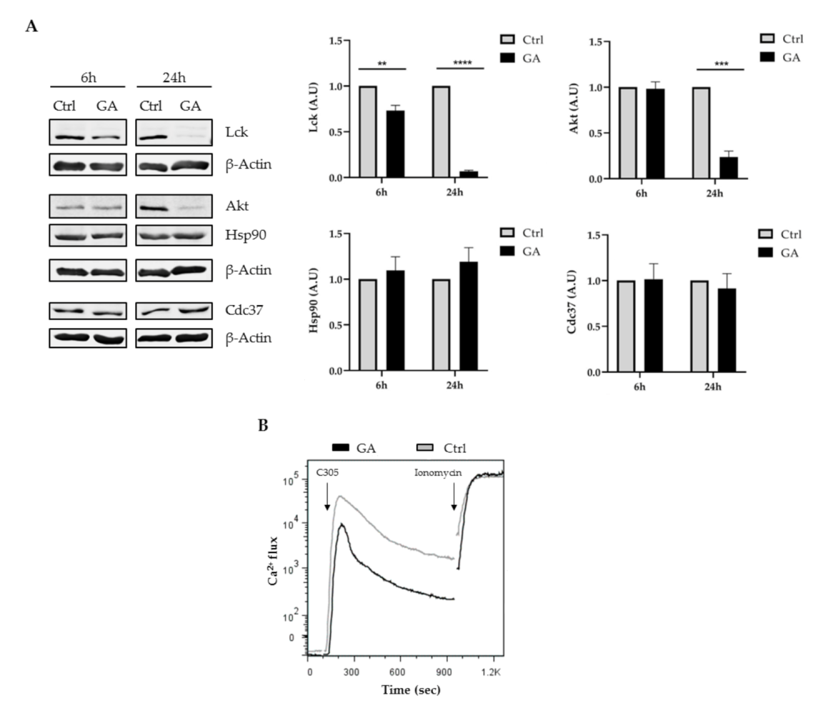 Ijms 22 00126 g004 Ijms 22 00126 g004