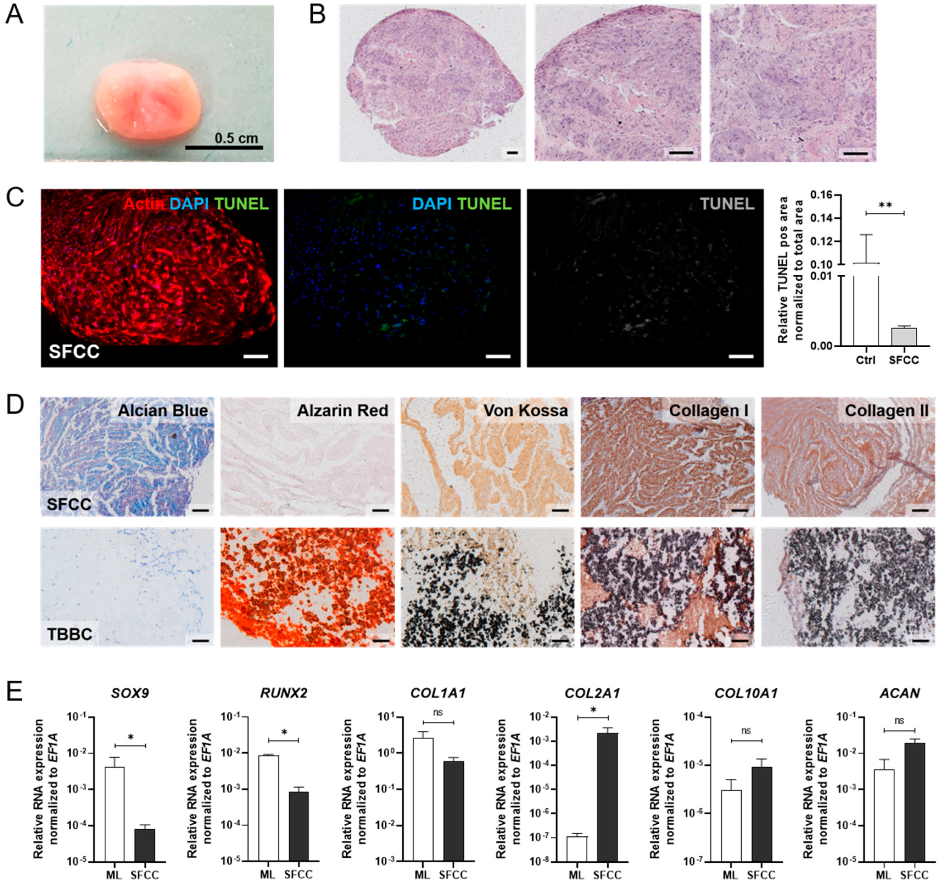 Ijms 22 00128 g005 Ijms 22 00128 g005