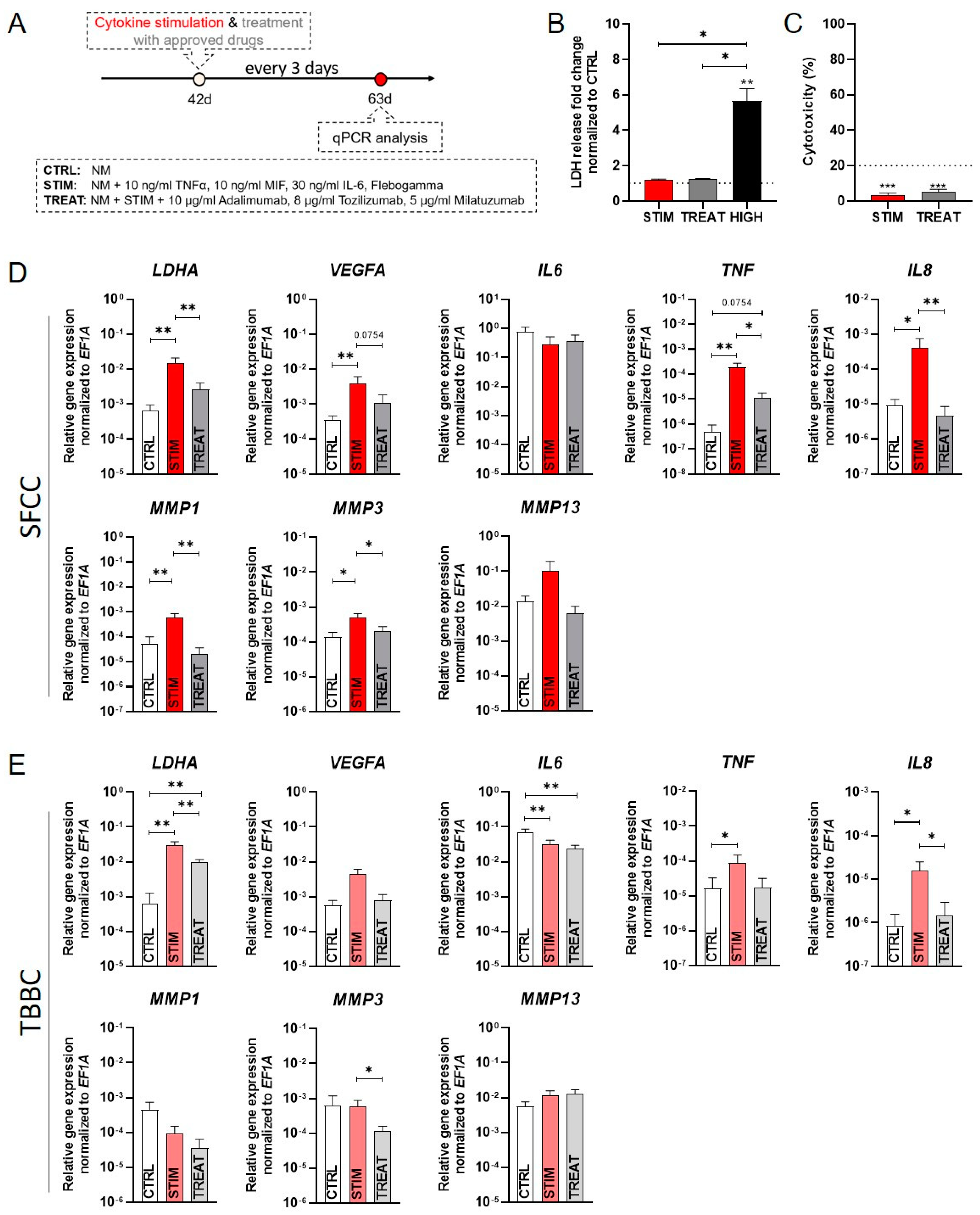 Ijms 22 00128 g007 Ijms 22 00128 g007