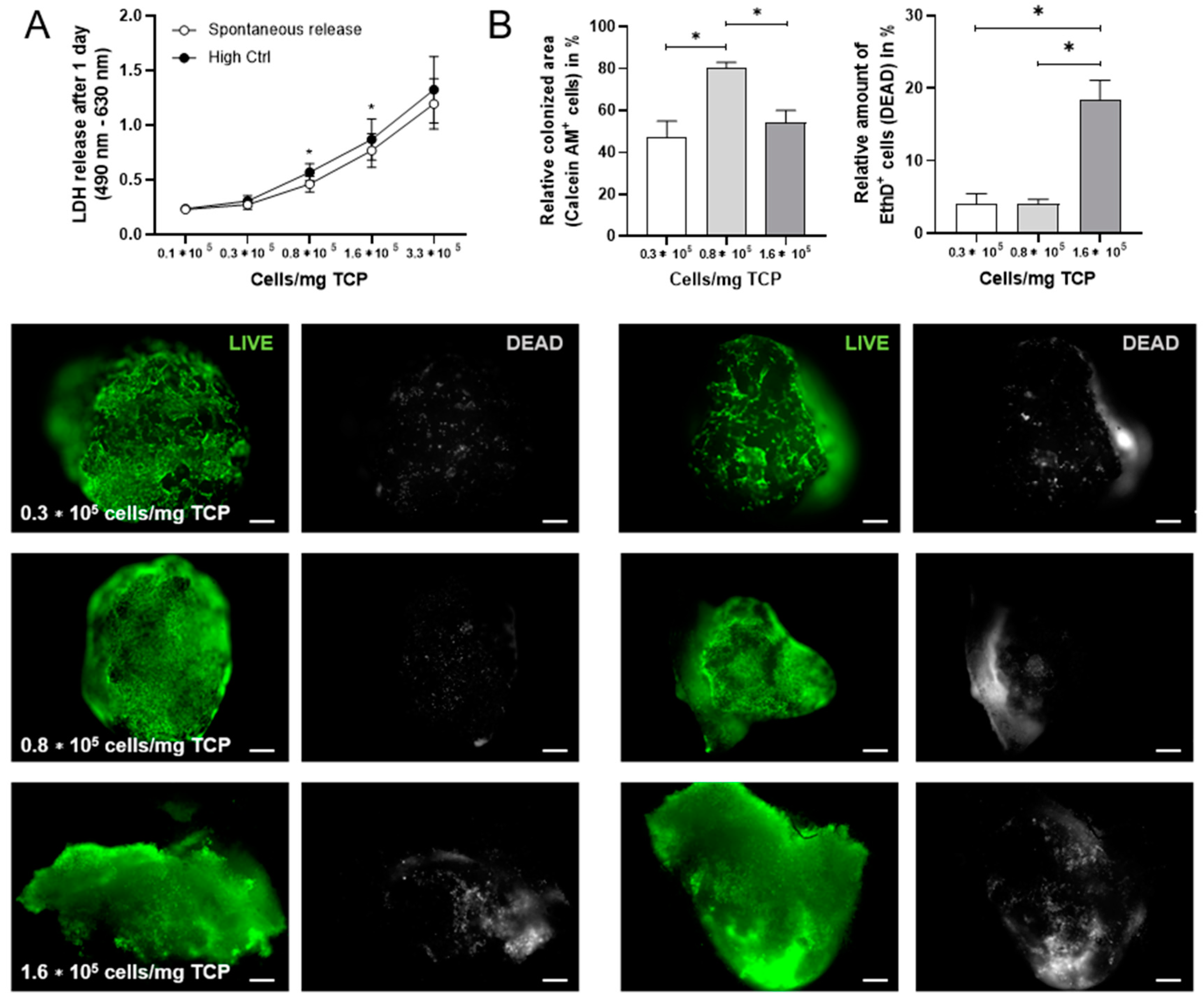 Ijms 22 00128 g0a1 Ijms 22 00128 g0a1
