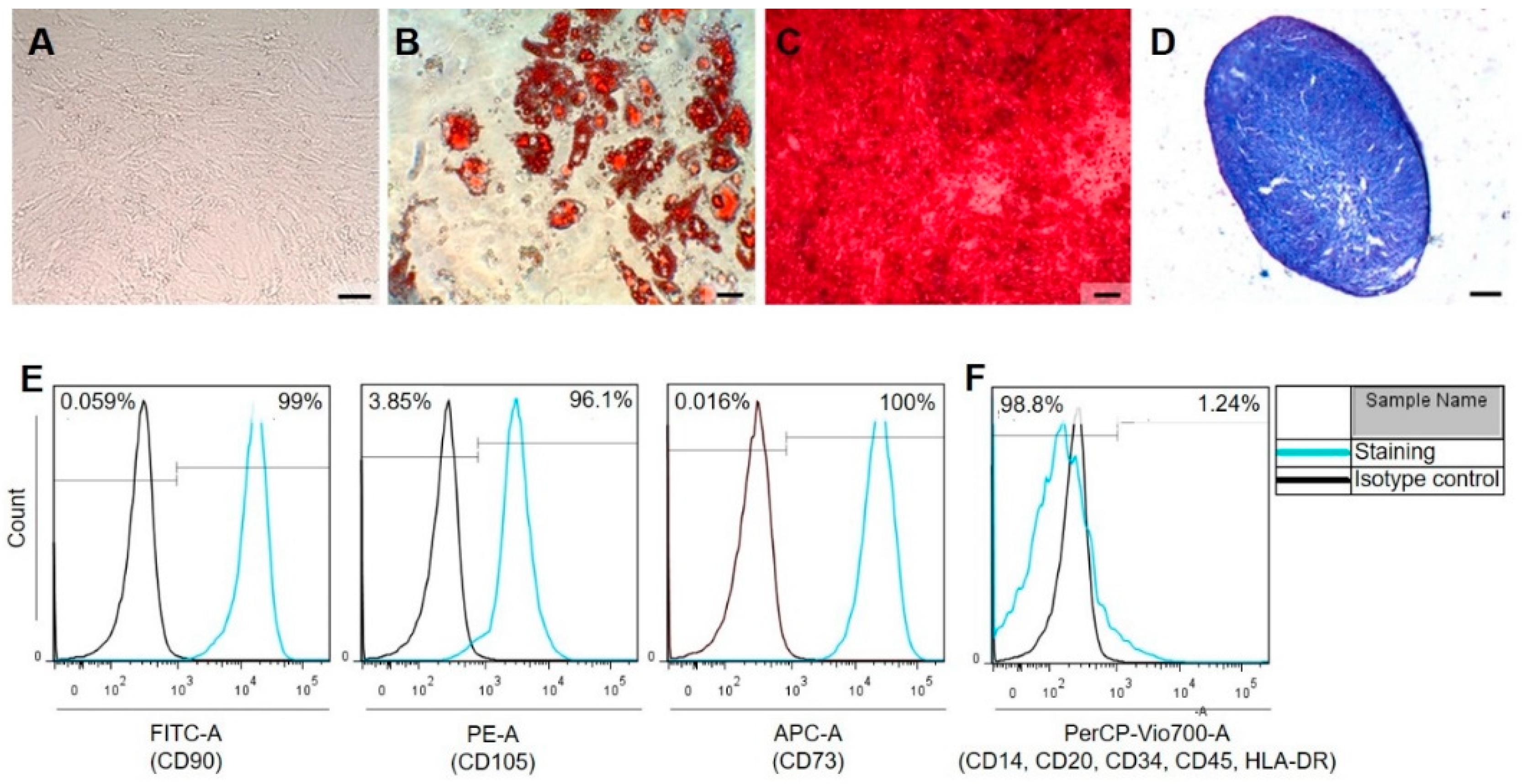 Ijms 22 00128 g0a3 Ijms 22 00128 g0a3