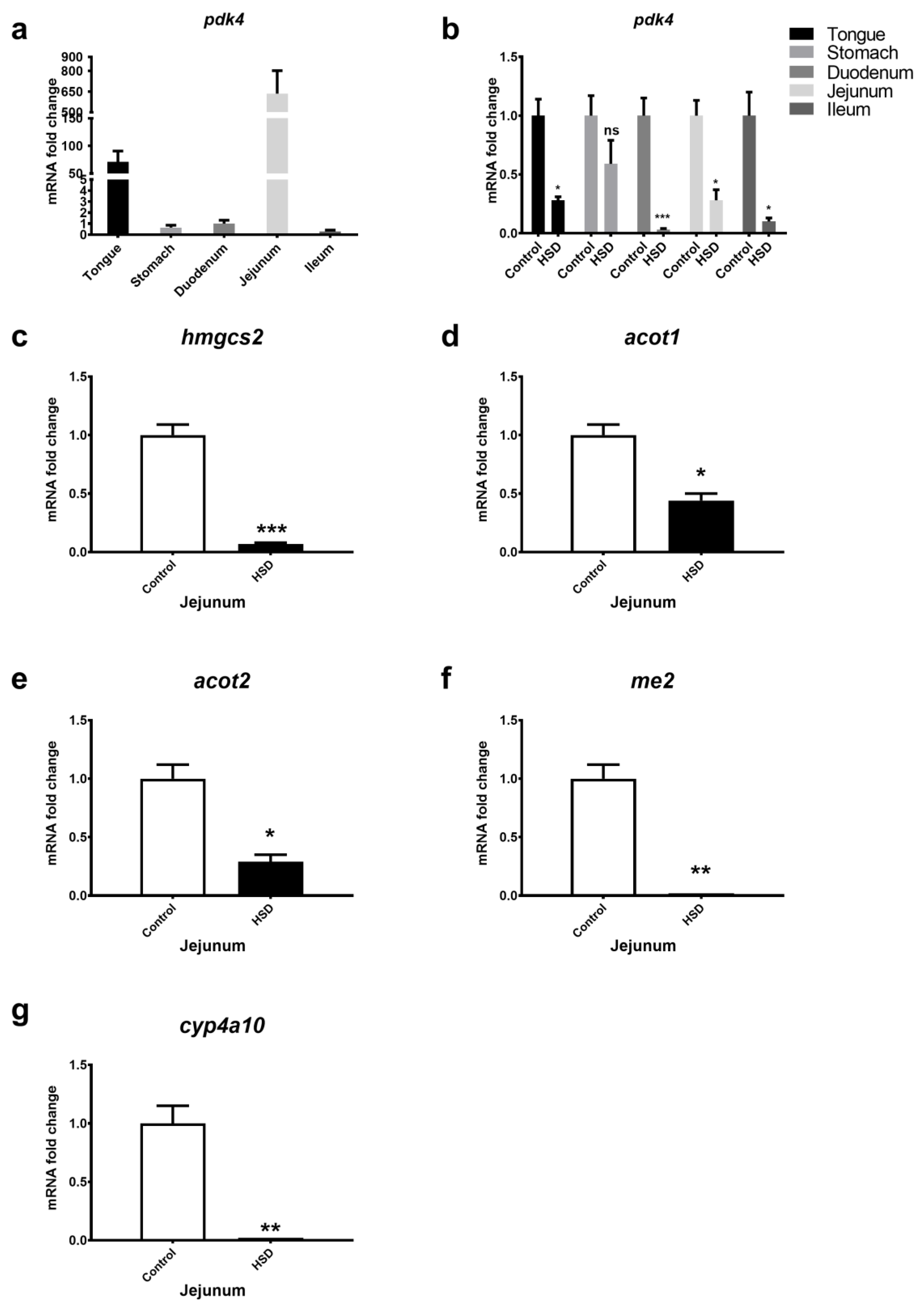 Ijms 22 00137 g002 Ijms 22 00137 g002