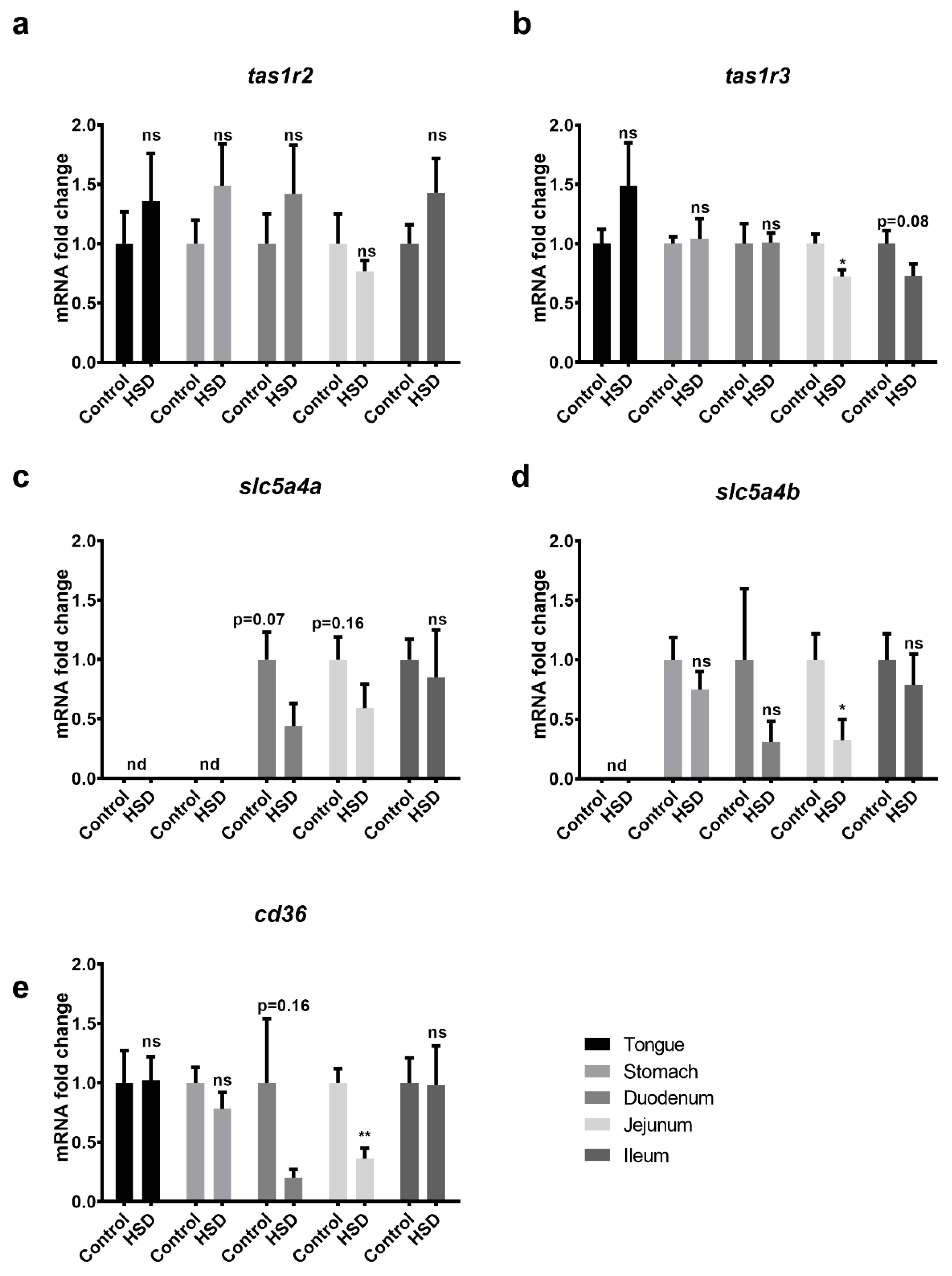 Ijms 22 00137 g004 Ijms 22 00137 g004