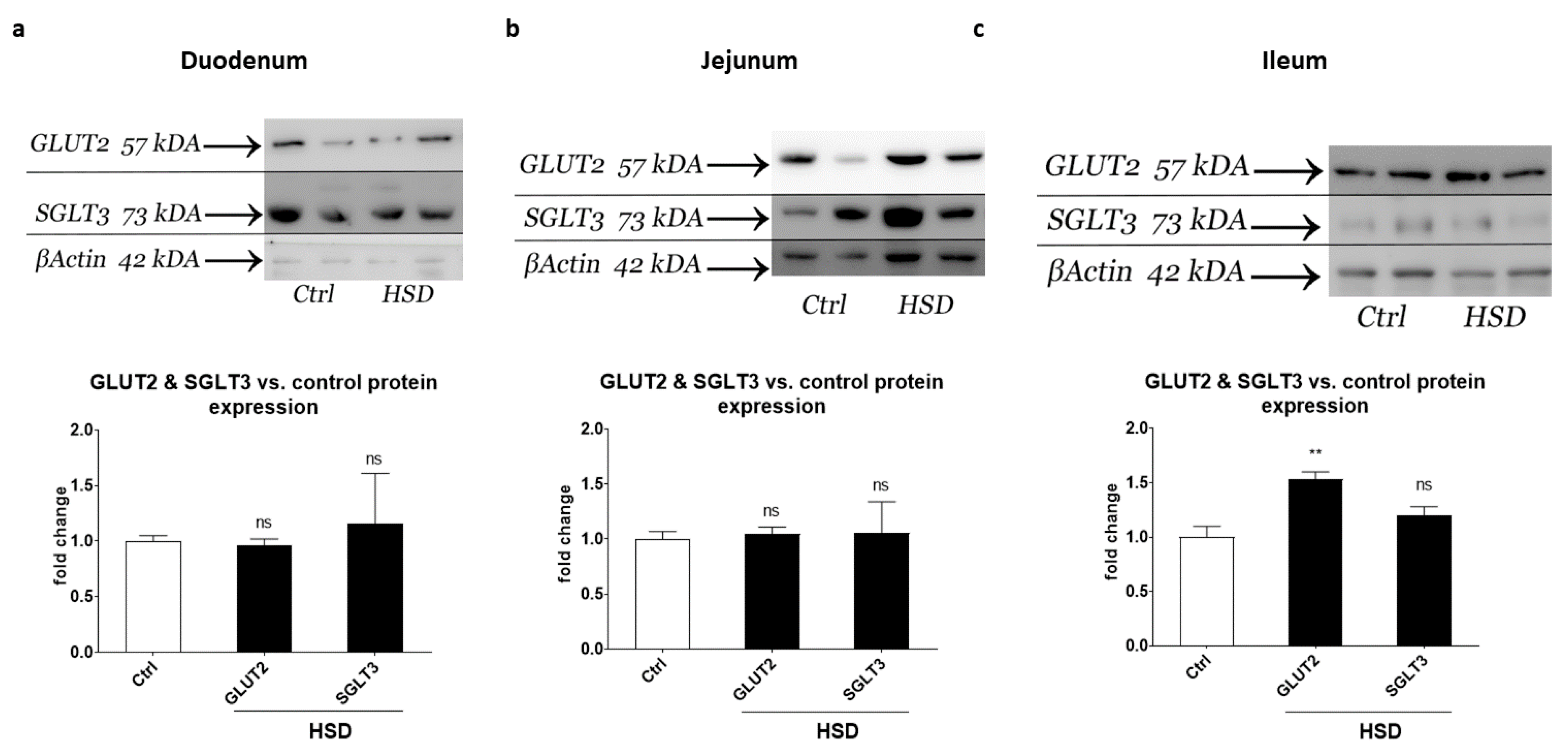 Ijms 22 00137 g005 Ijms 22 00137 g005