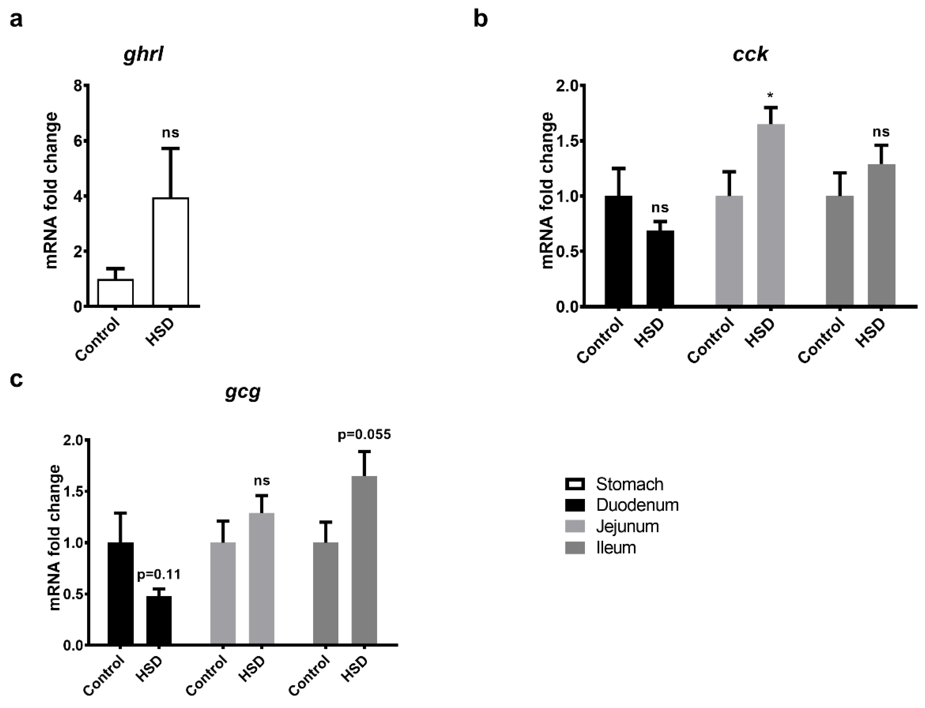 Ijms 22 00137 g006 Ijms 22 00137 g006