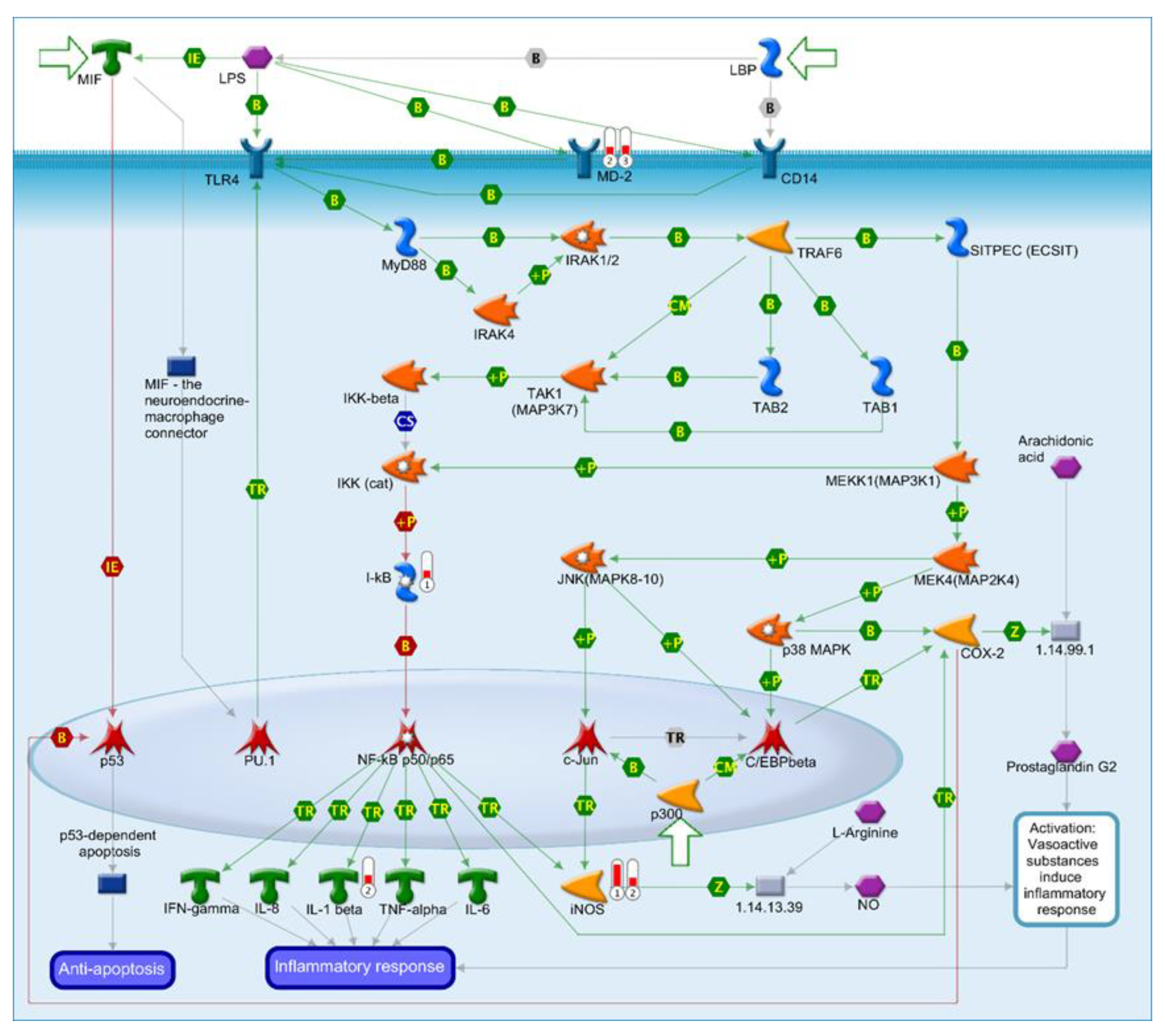 Ijms 22 00137 g007 Ijms 22 00137 g007