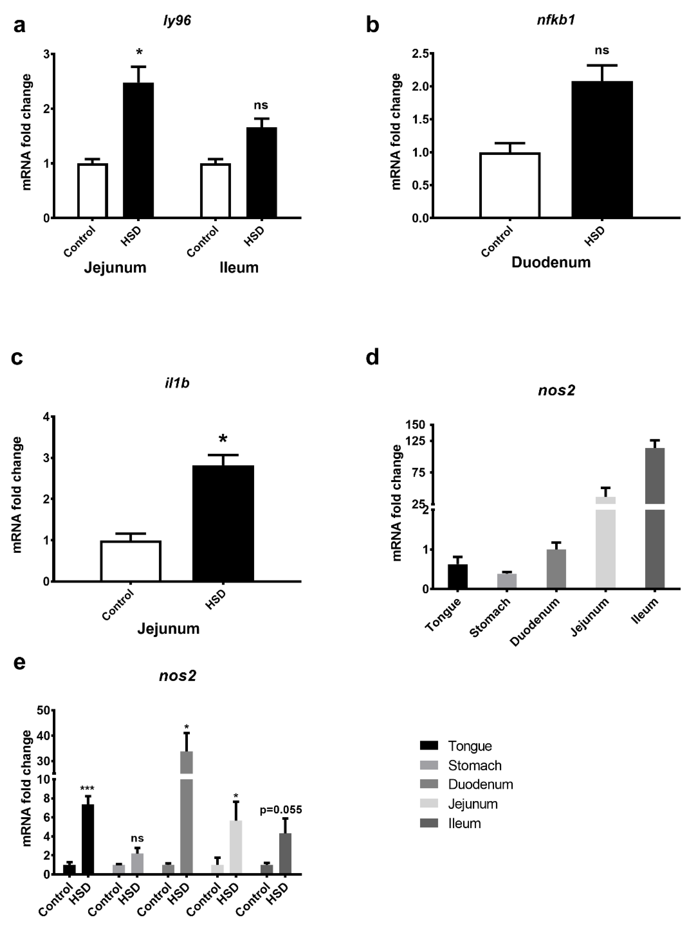 Ijms 22 00137 g008 Ijms 22 00137 g008