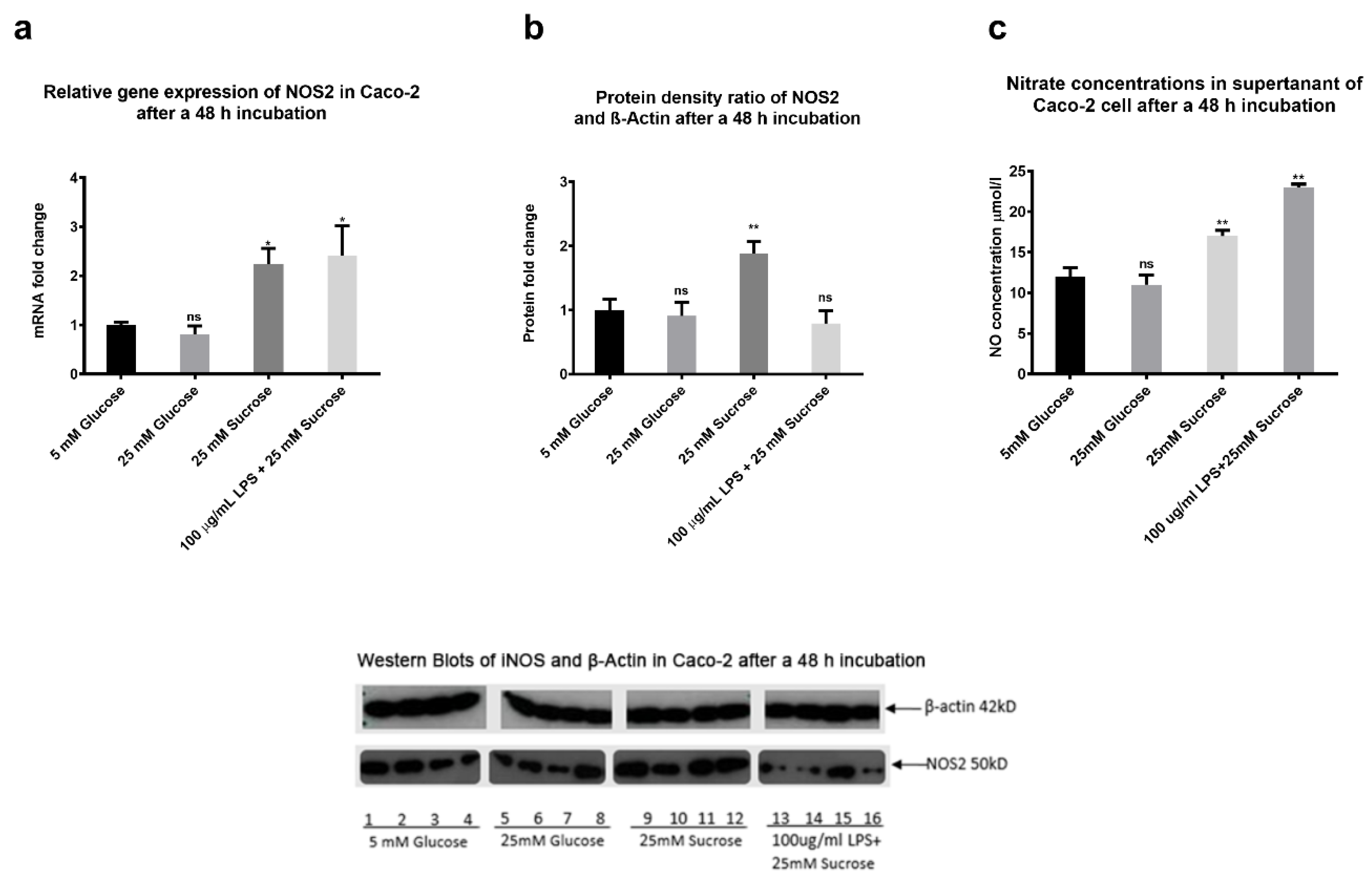 Ijms 22 00137 g010 Ijms 22 00137 g010