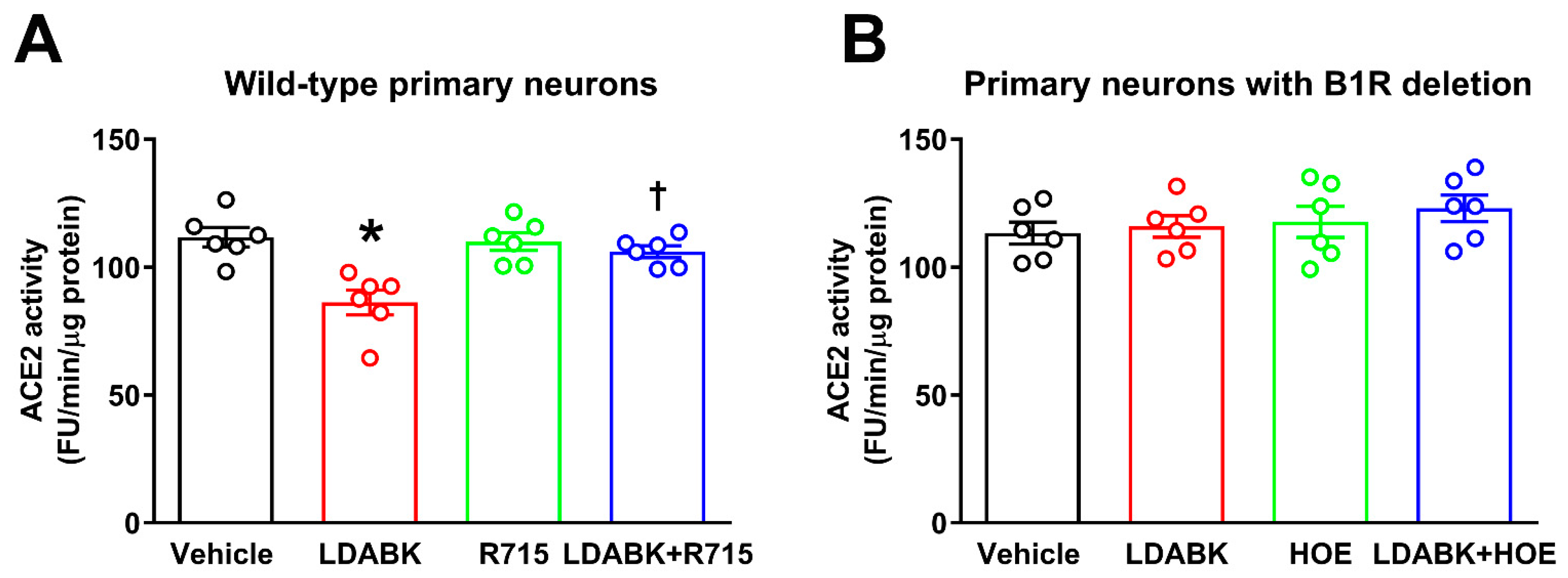 Ijms 22 00145 g003 Ijms 22 00145 g003