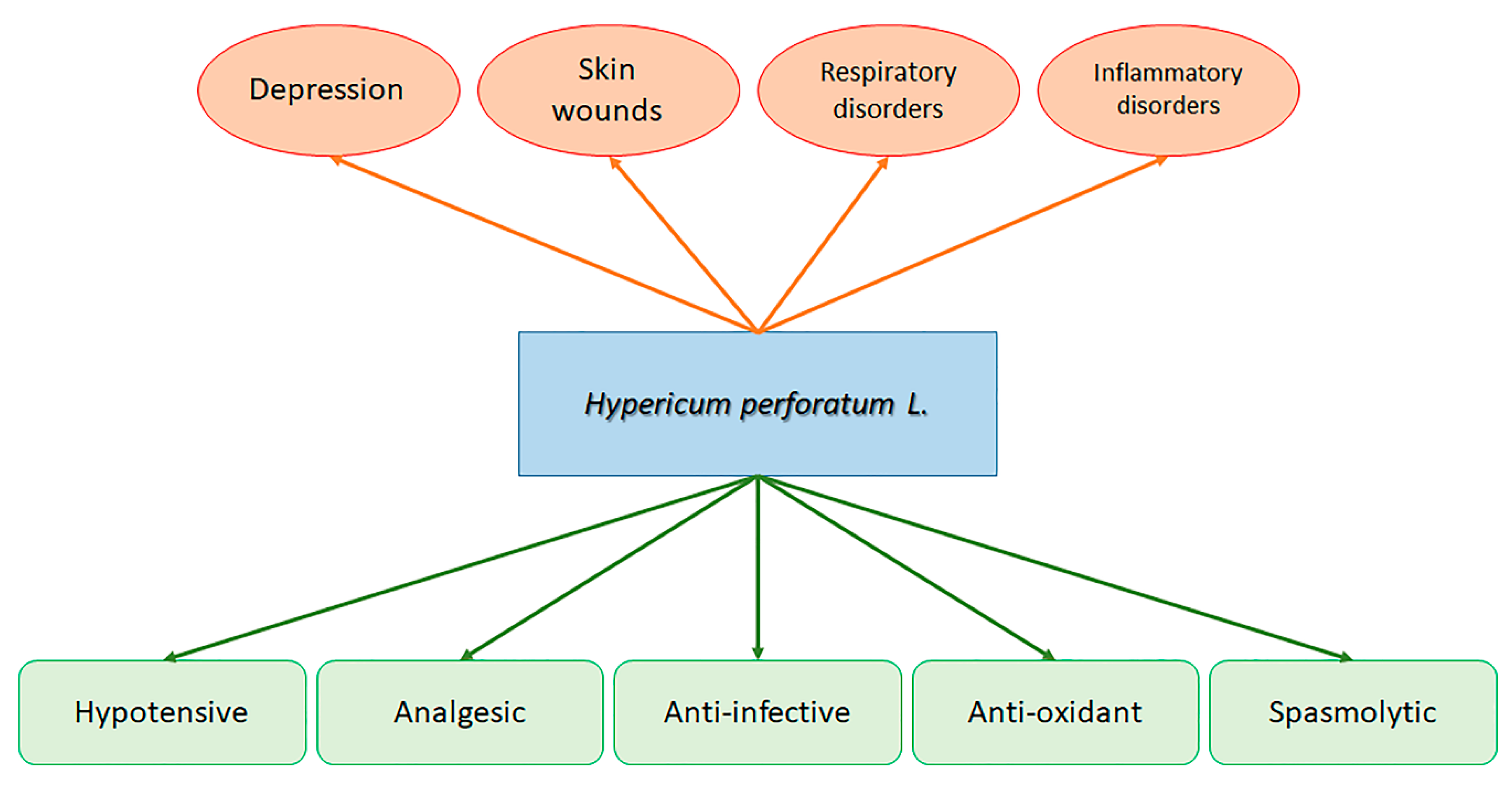 IJMS Free FullText Antiproliferative Effects of St. John’s Wort