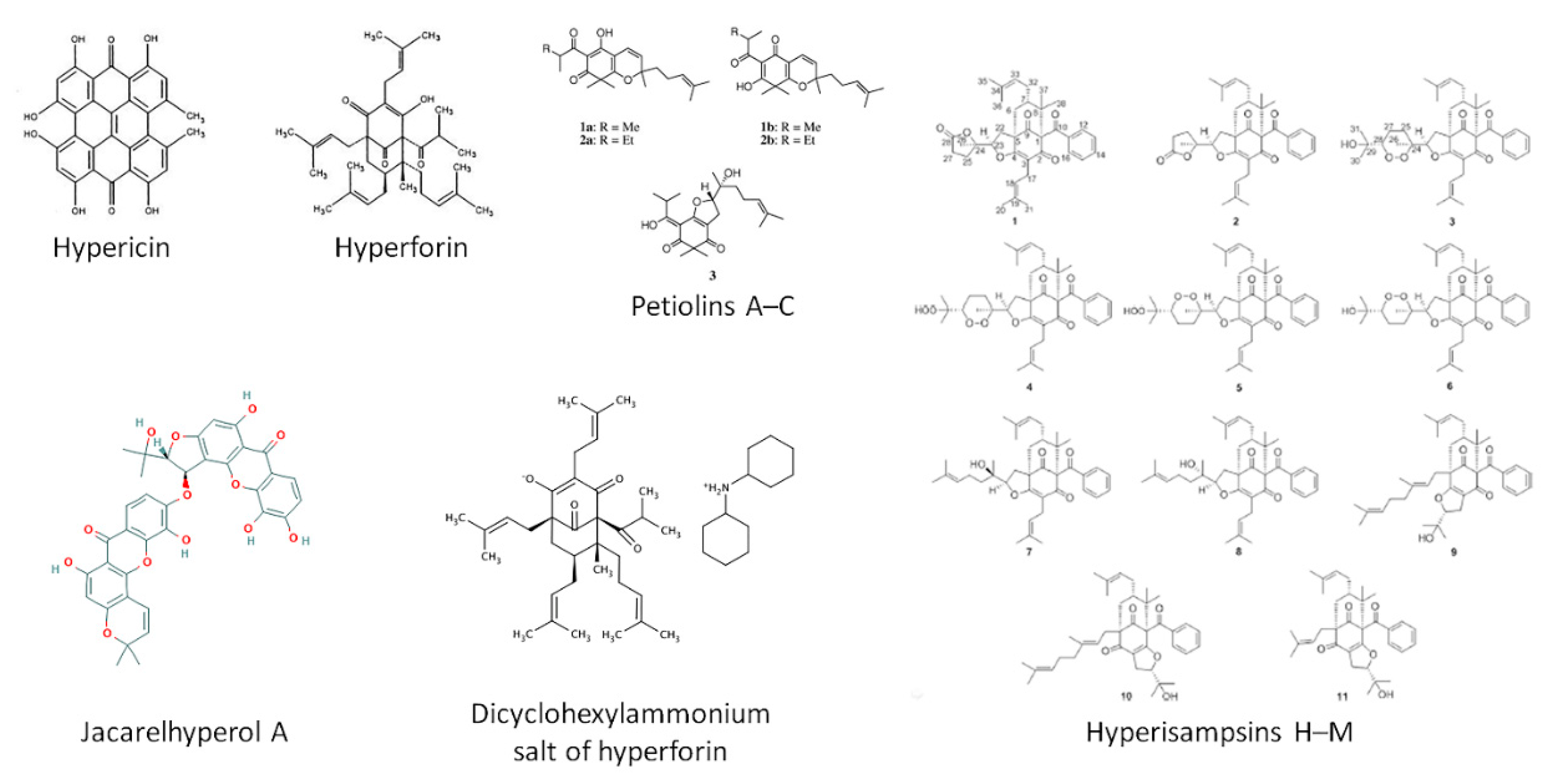 Ijms 22 00146 g003 Ijms 22 00146 g003