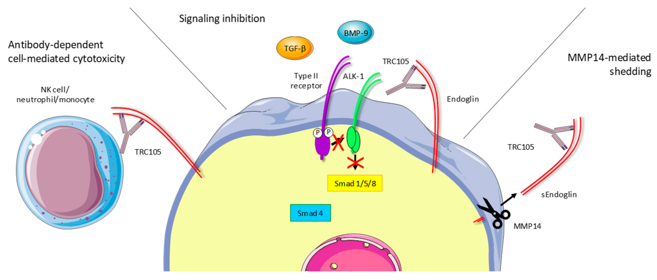 Ijms 22 00147 g002 Ijms 22 00147 g002