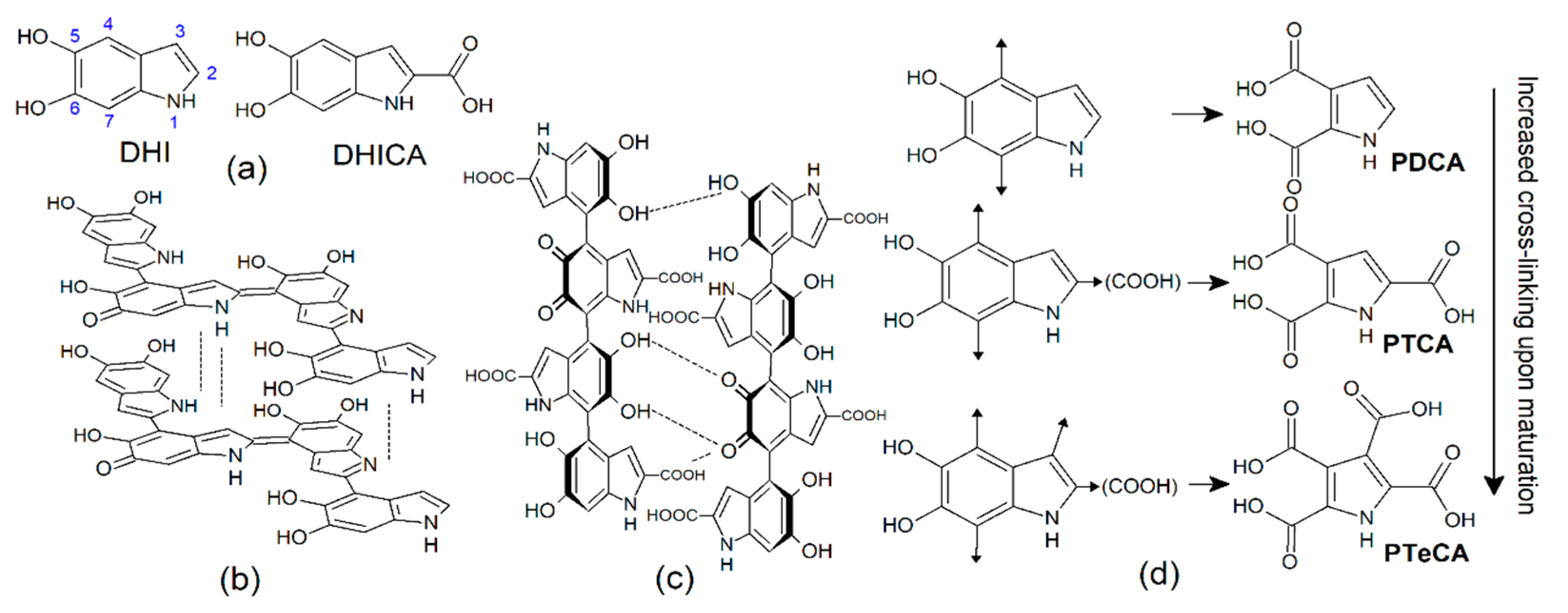 Ijms 22 00161 g001 Ijms 22 00161 g001