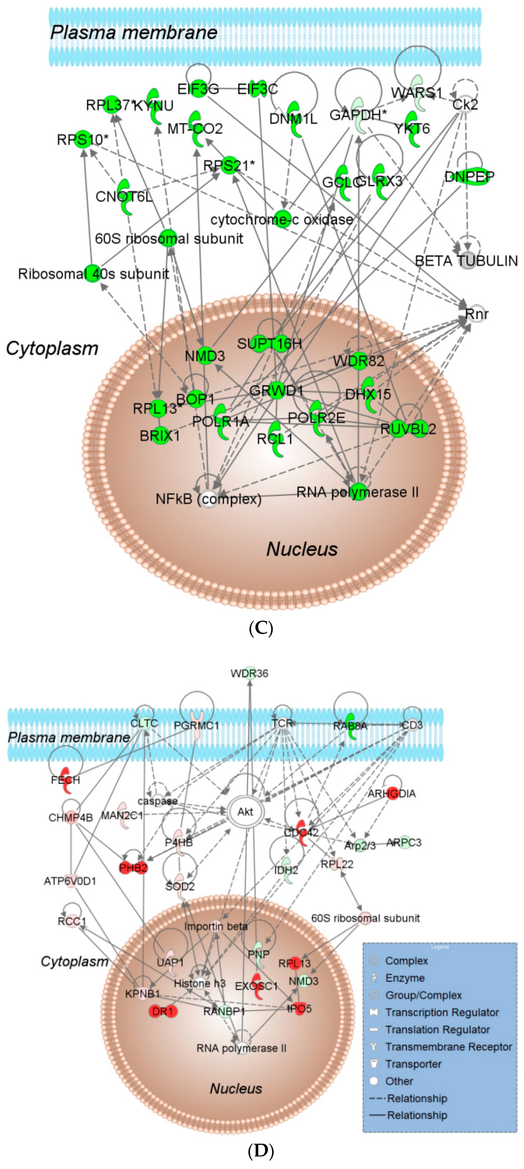 Ijms 22 00167 g002b Ijms 22 00167 g002b