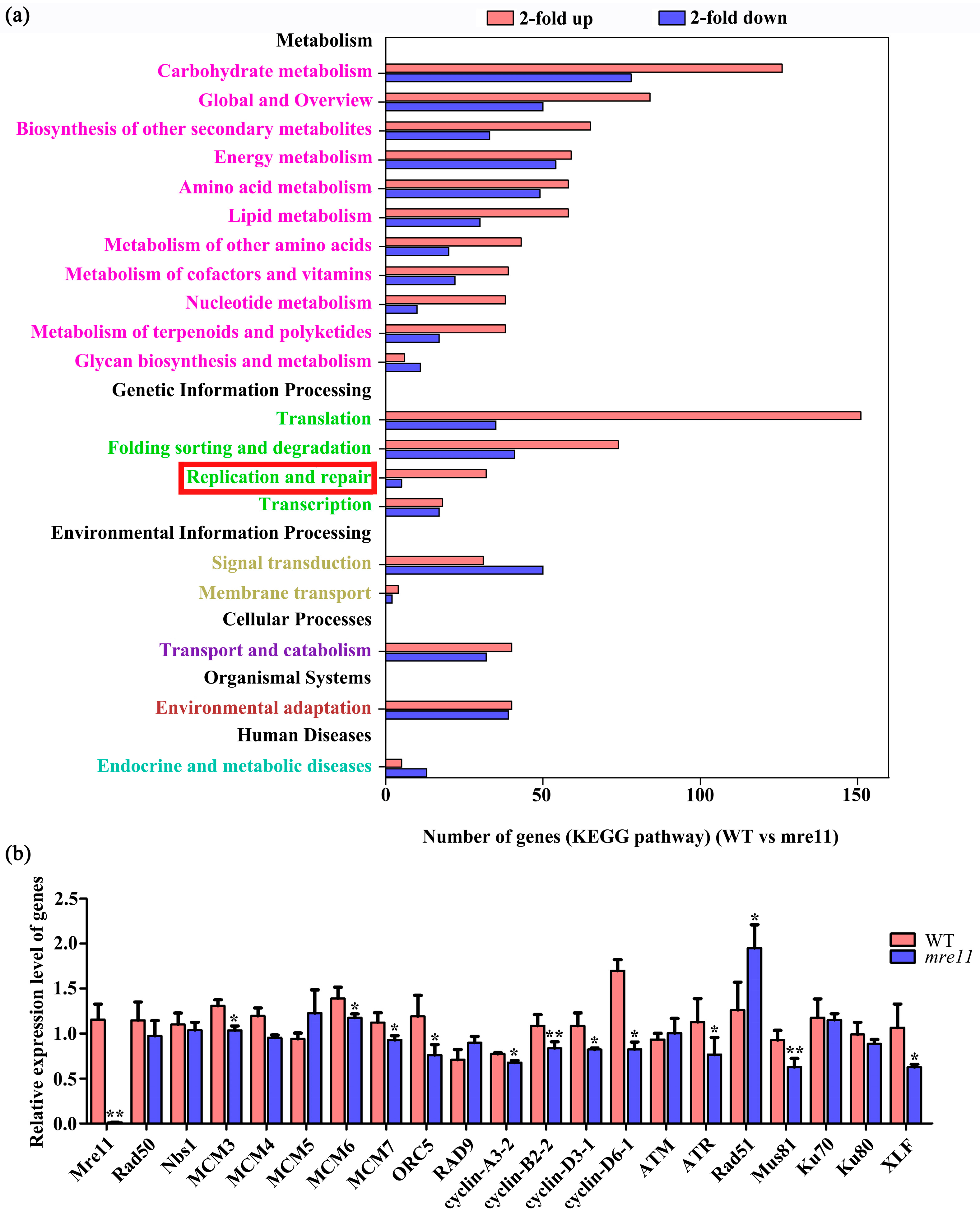 Ijms 22 00169 g009 Ijms 22 00169 g009