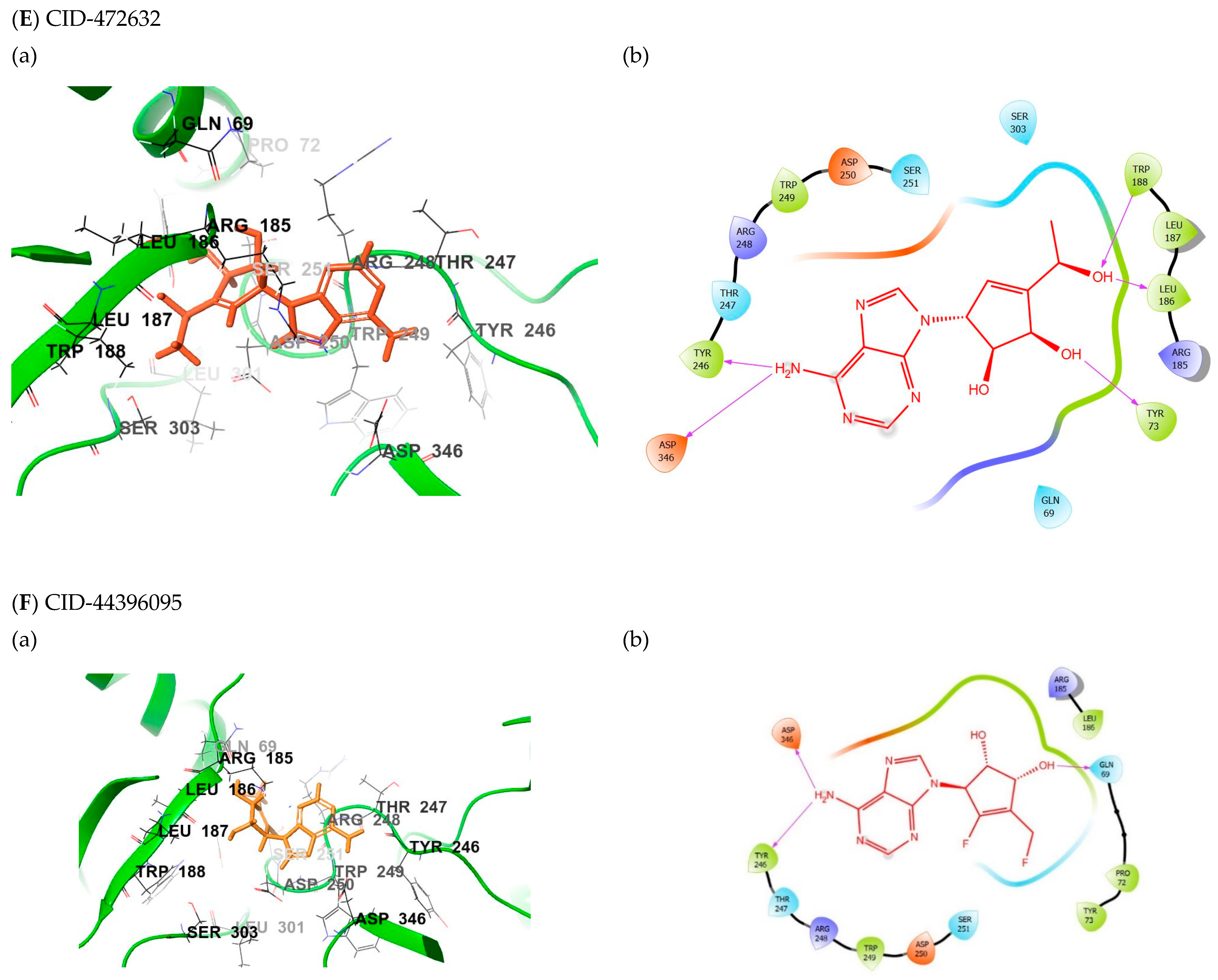 Ijms 22 00171 g004c Ijms 22 00171 g004c