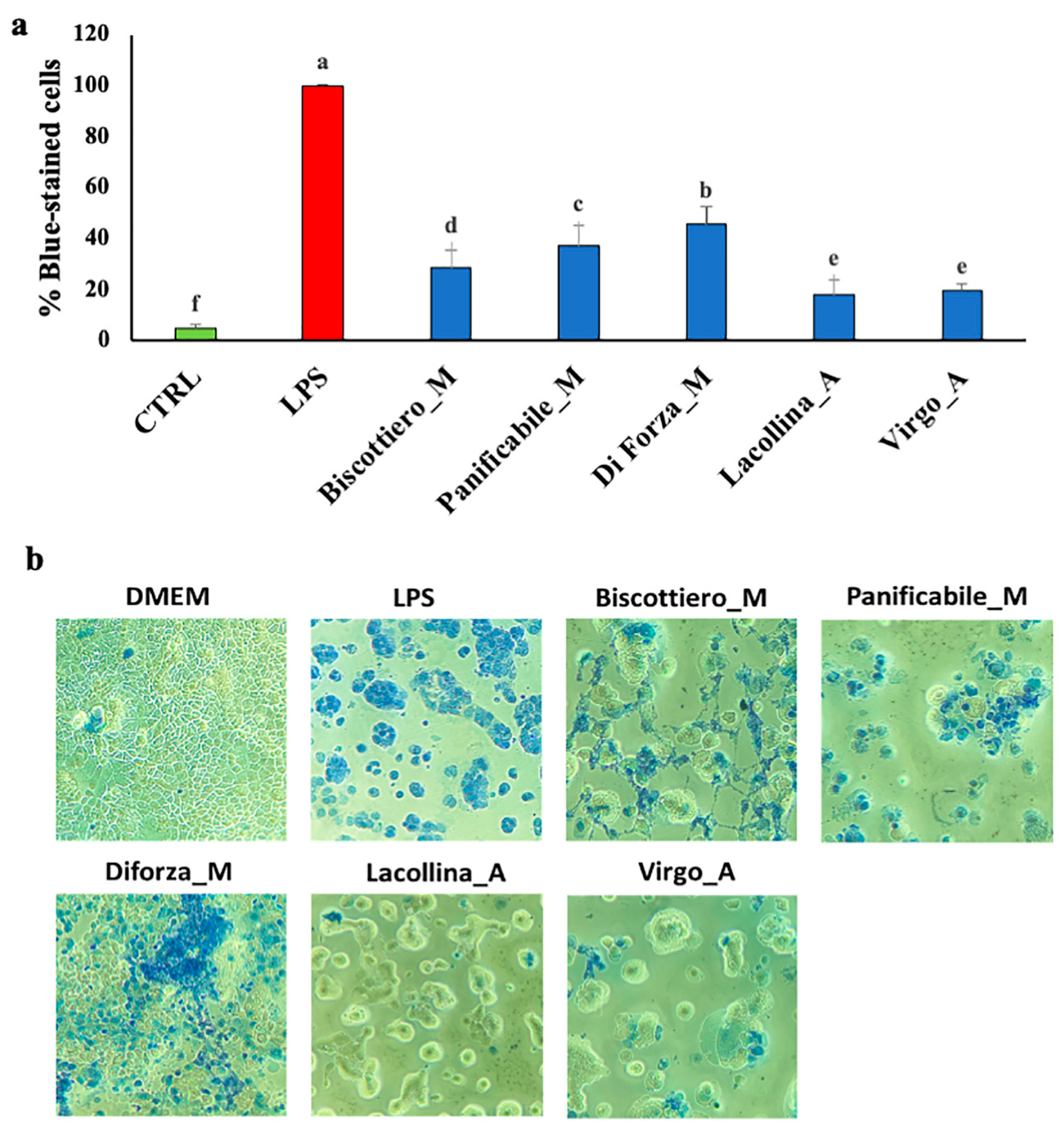 Ijms 22 00172 g004 Ijms 22 00172 g004