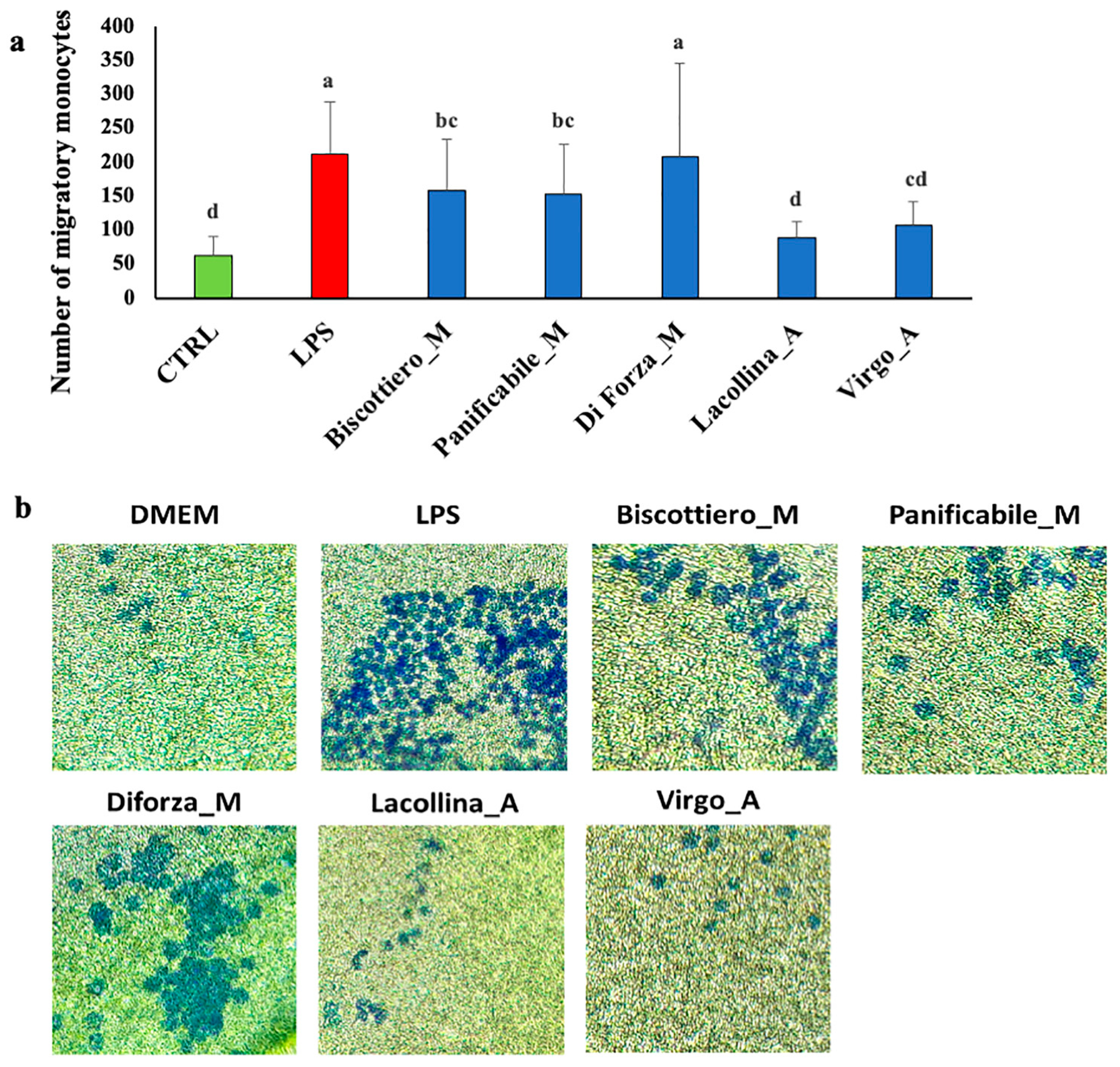 Ijms 22 00172 g005 Ijms 22 00172 g005