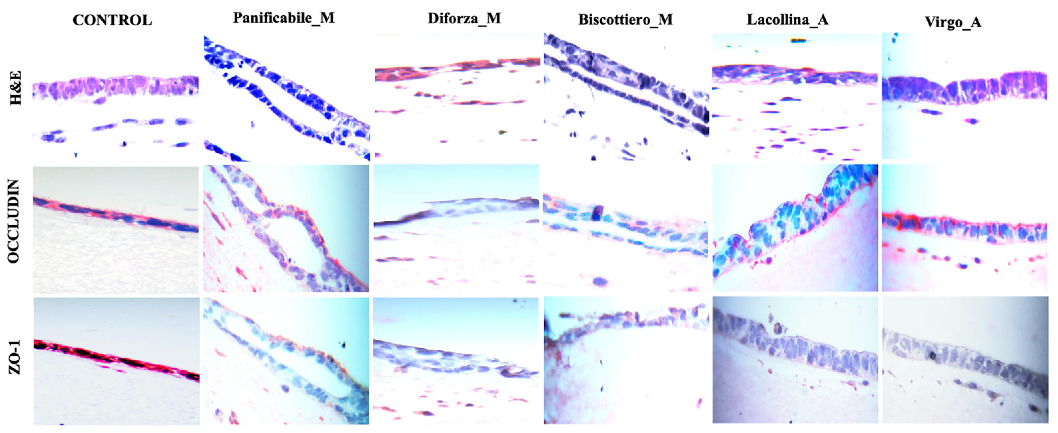 Ijms 22 00172 g007 Ijms 22 00172 g007