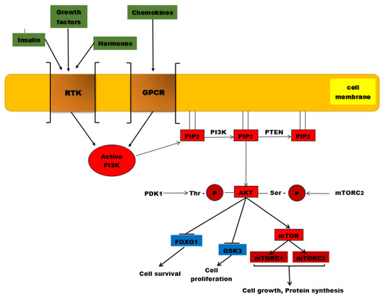 Ijms 22 00173 g001 550