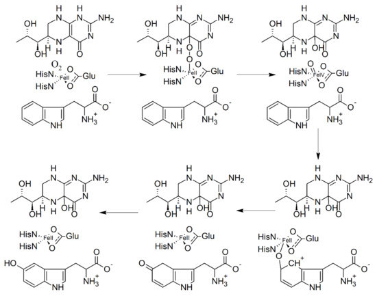 その他 T.H 5-Hydroxytryptophan (5-HTP): Natural Occurrence, Analysis