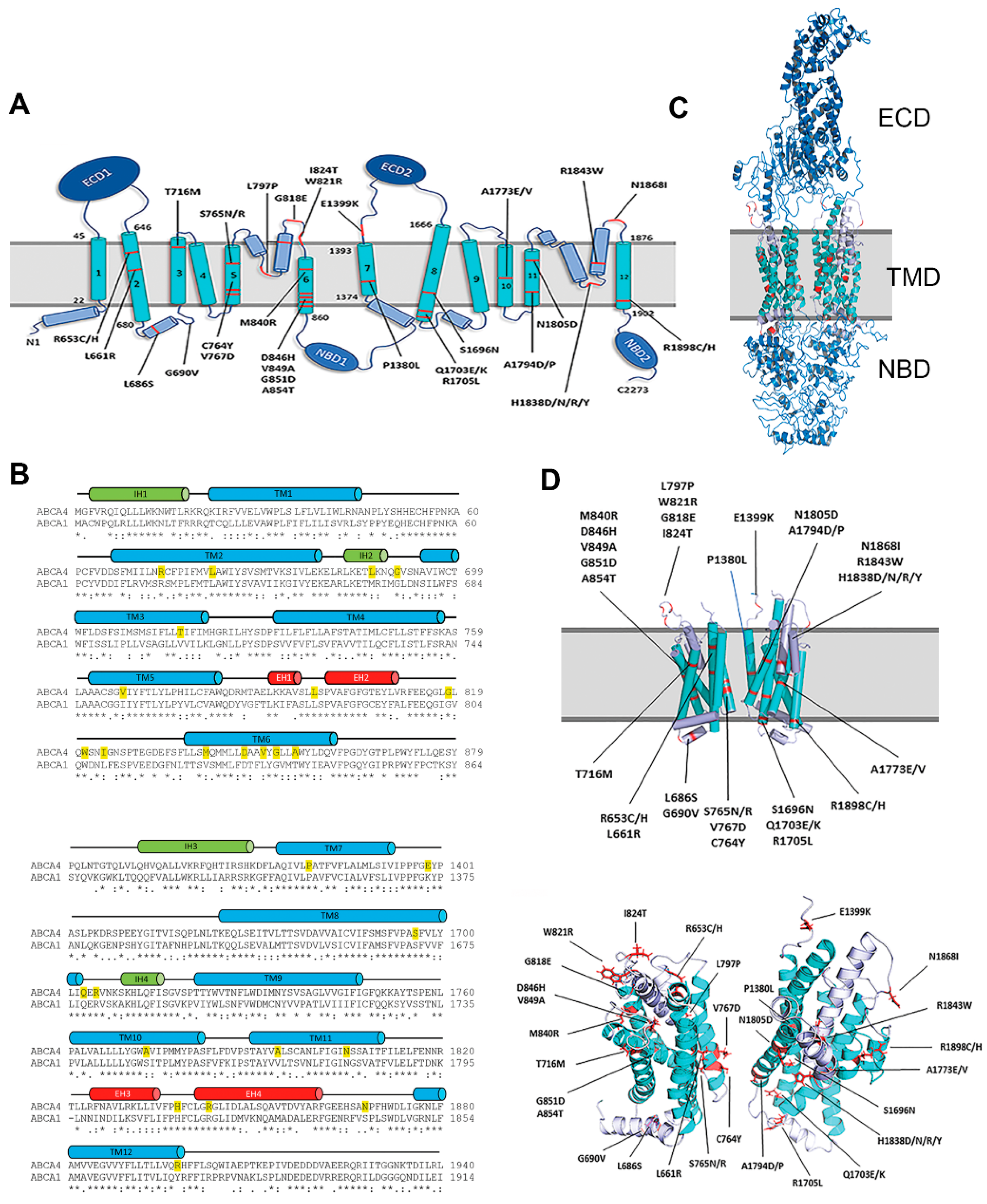Ijms 22 00185 g001 Ijms 22 00185 g001