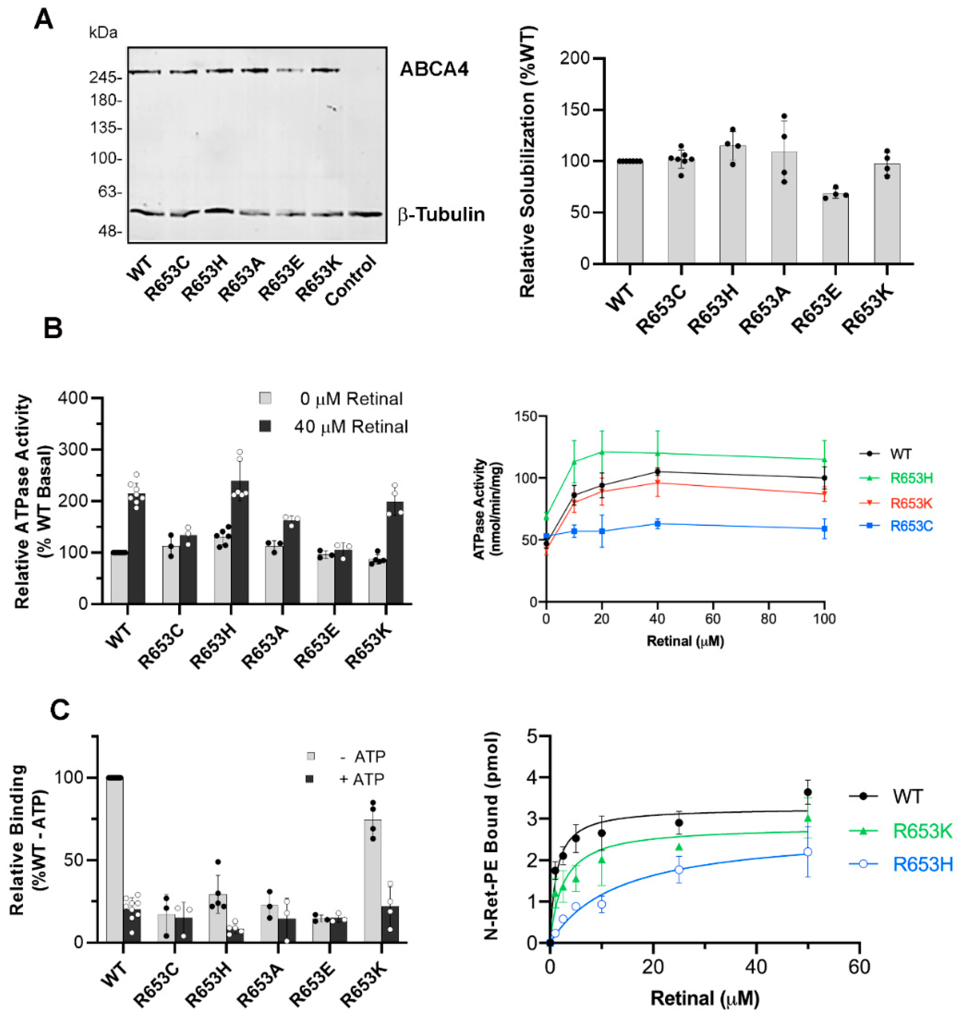 Ijms 22 00185 g008 Ijms 22 00185 g008