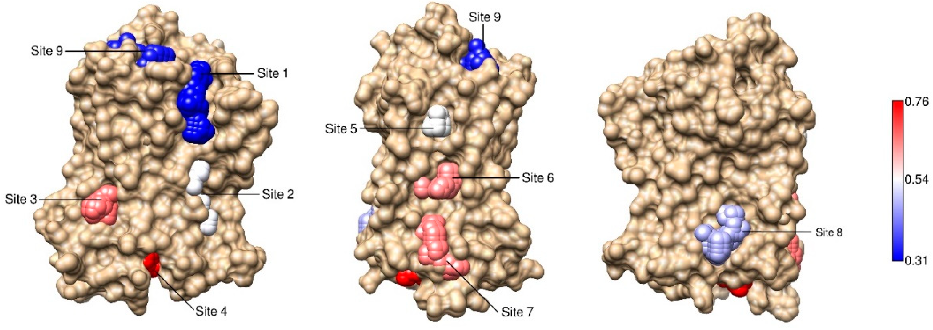 Ijms 22 00187 g004 Ijms 22 00187 g004