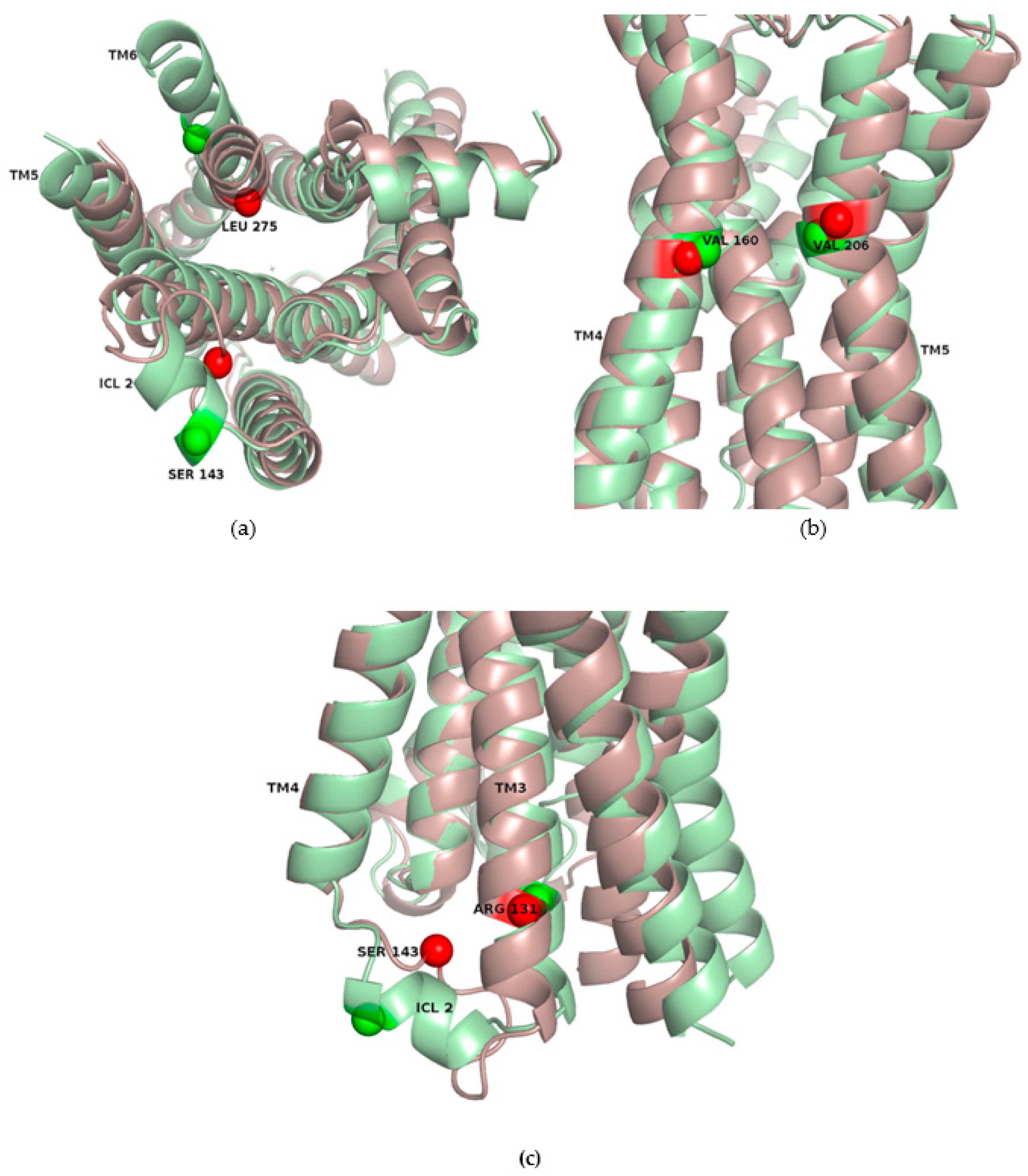Ijms 22 00187 g006 Ijms 22 00187 g006