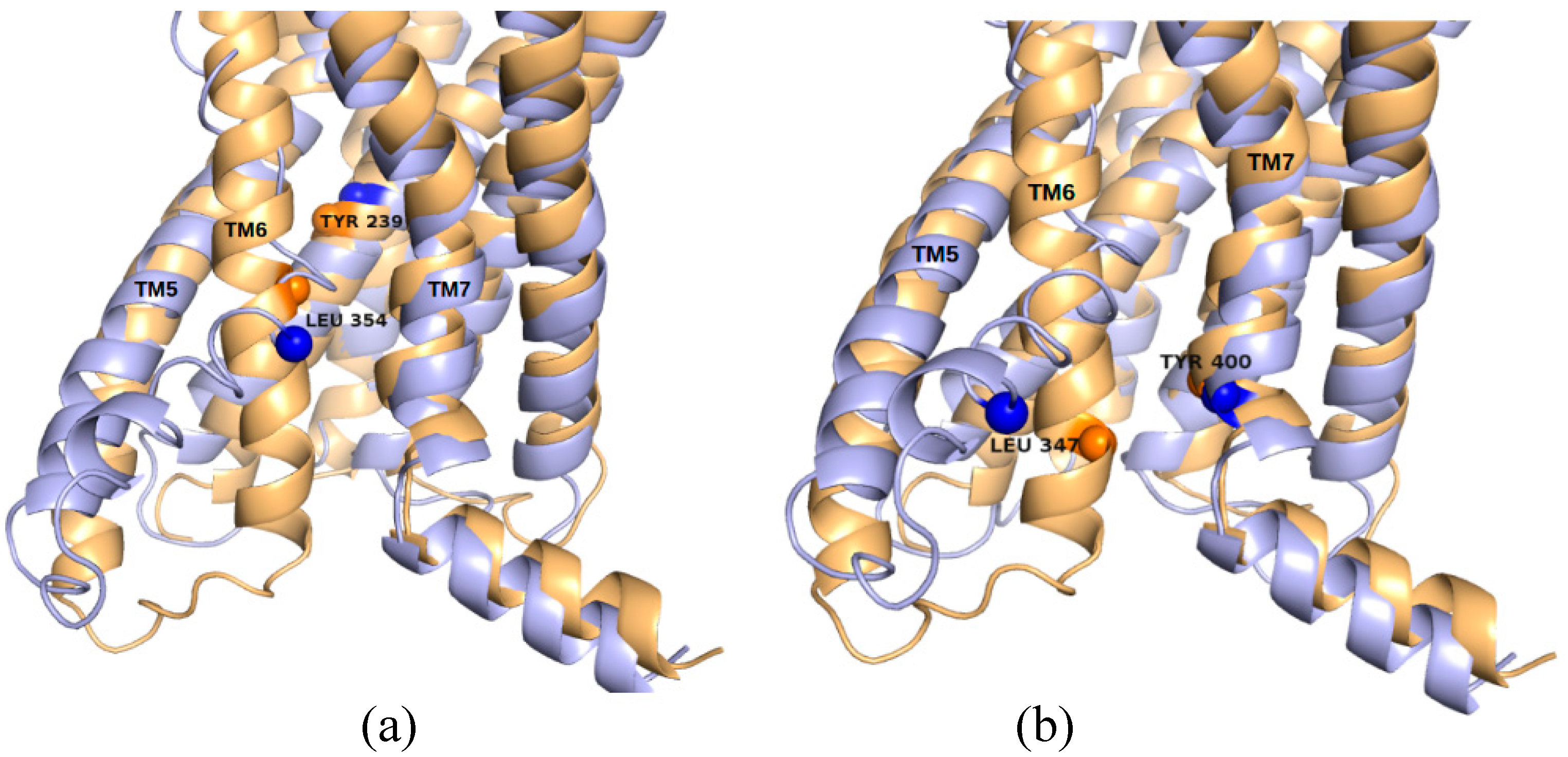 Ijms 22 00187 g008 Ijms 22 00187 g008