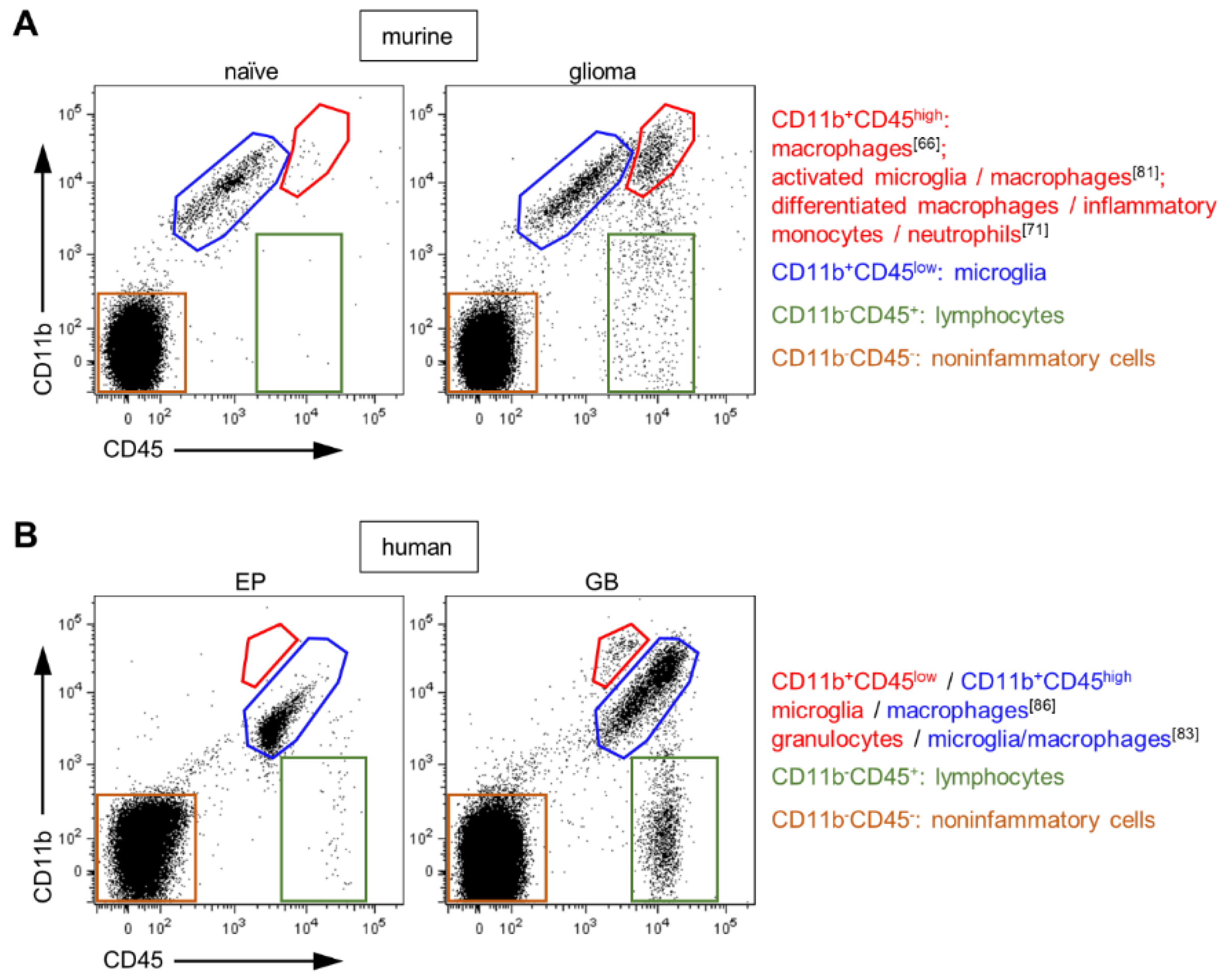 Ijms Free Full Text Distinction Of Microglia And Macrophages In Glioblastoma Close Relatives Different Tasks Html