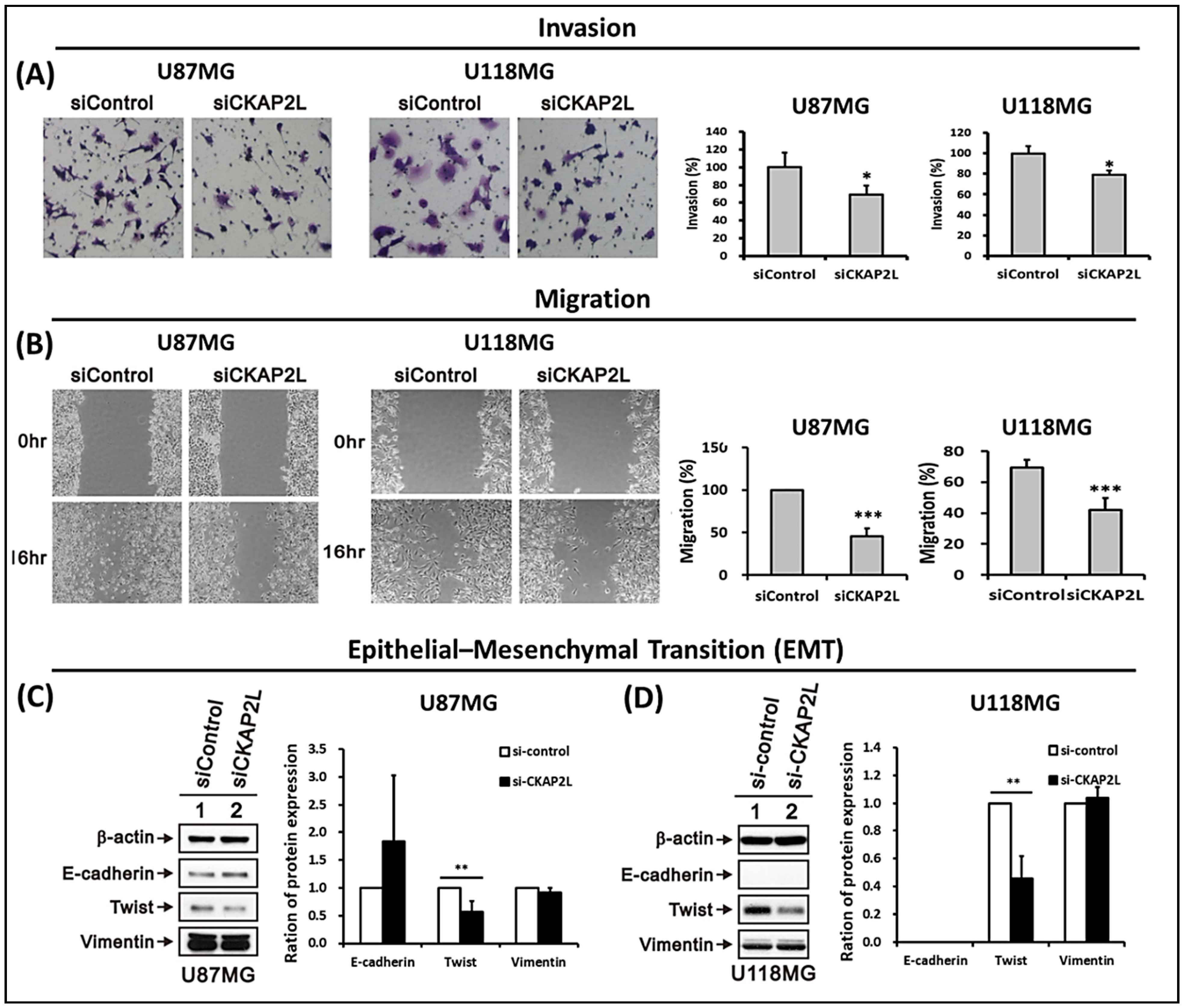 Ijms 22 00197 g008 Ijms 22 00197 g008