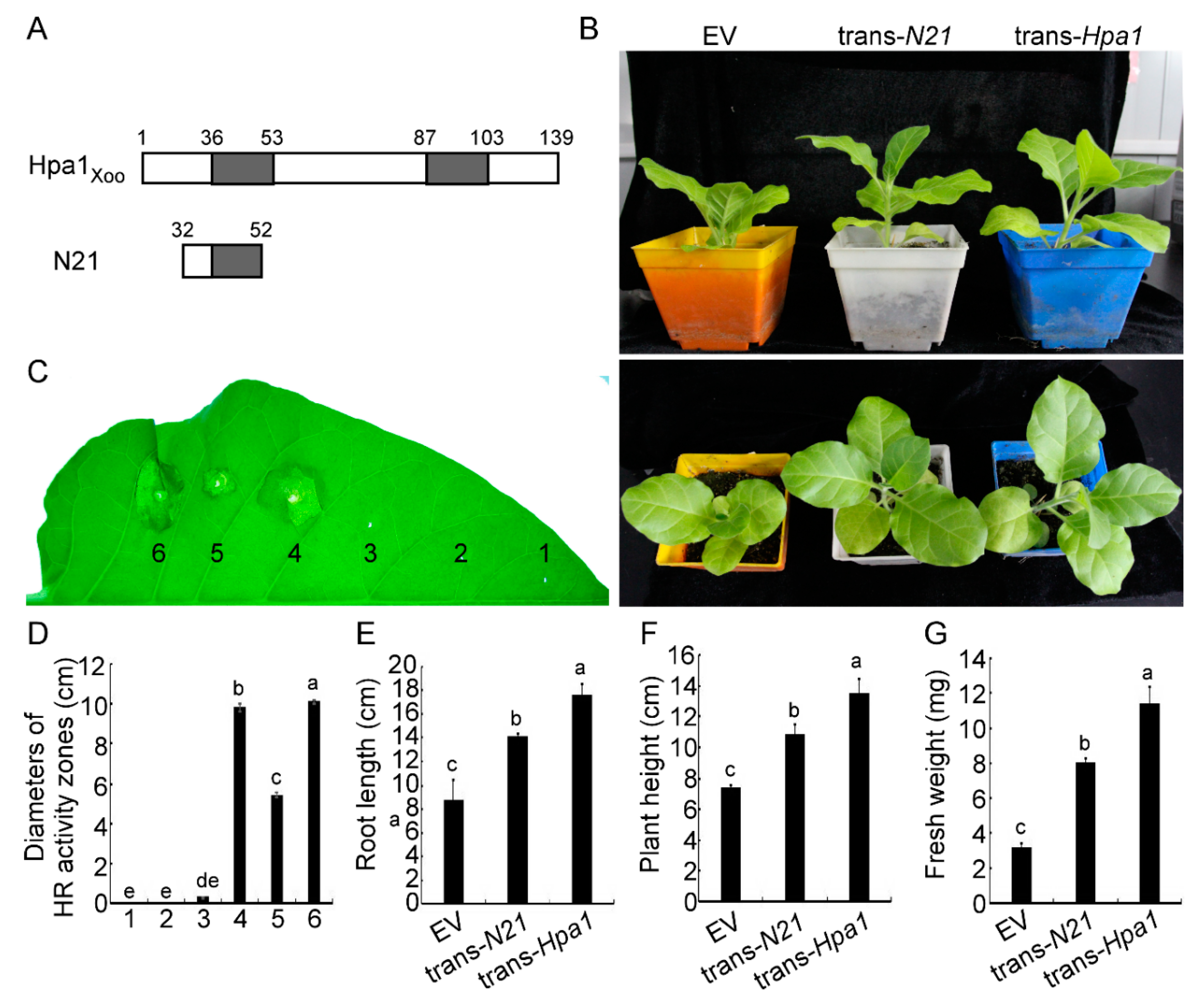 Ijms 22 00203 g001 Ijms 22 00203 g001
