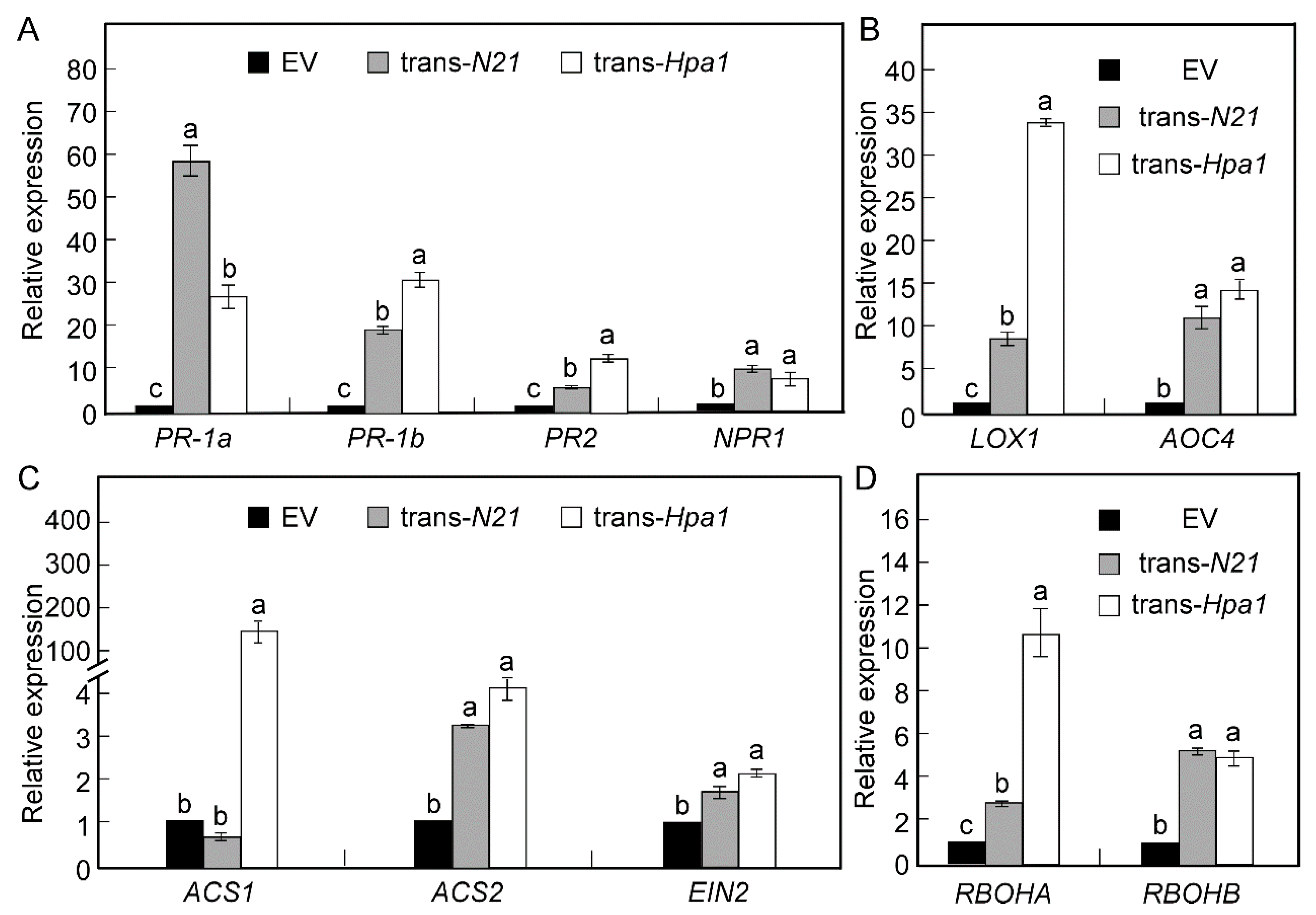 Ijms 22 00203 g007 Ijms 22 00203 g007