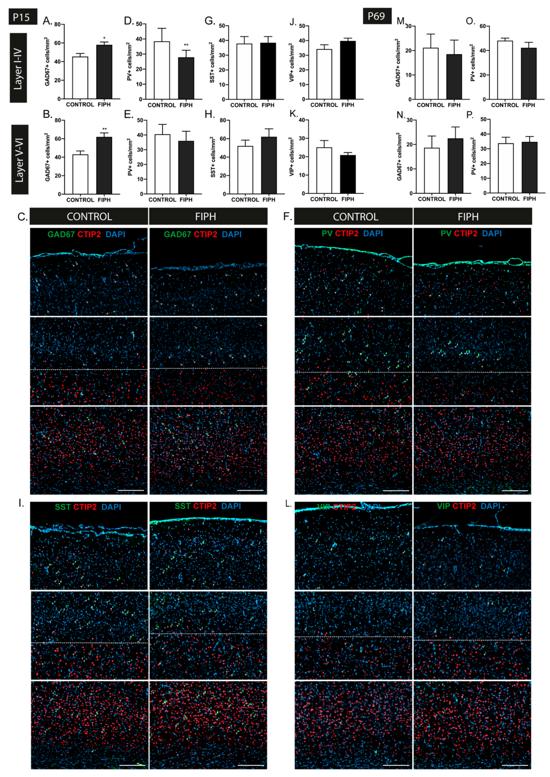 Ijms 22 00211 g001 Ijms 22 00211 g001