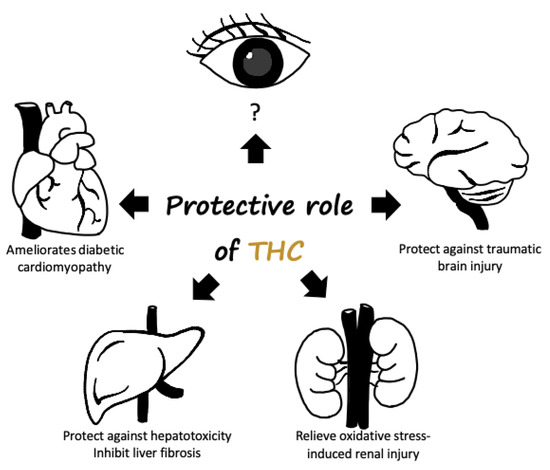 Curcumin Metabolite Tetrahydrocurcumin in the Treatment of Eye Diseases