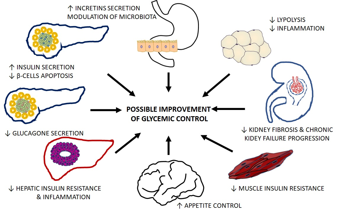 diabetes review