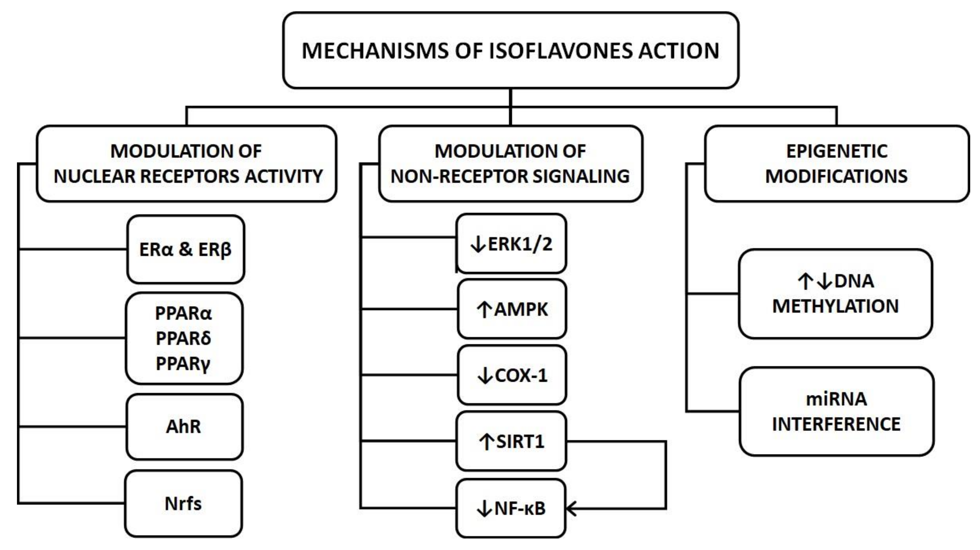 Ijms 22 00218 g001 Ijms 22 00218 g001
