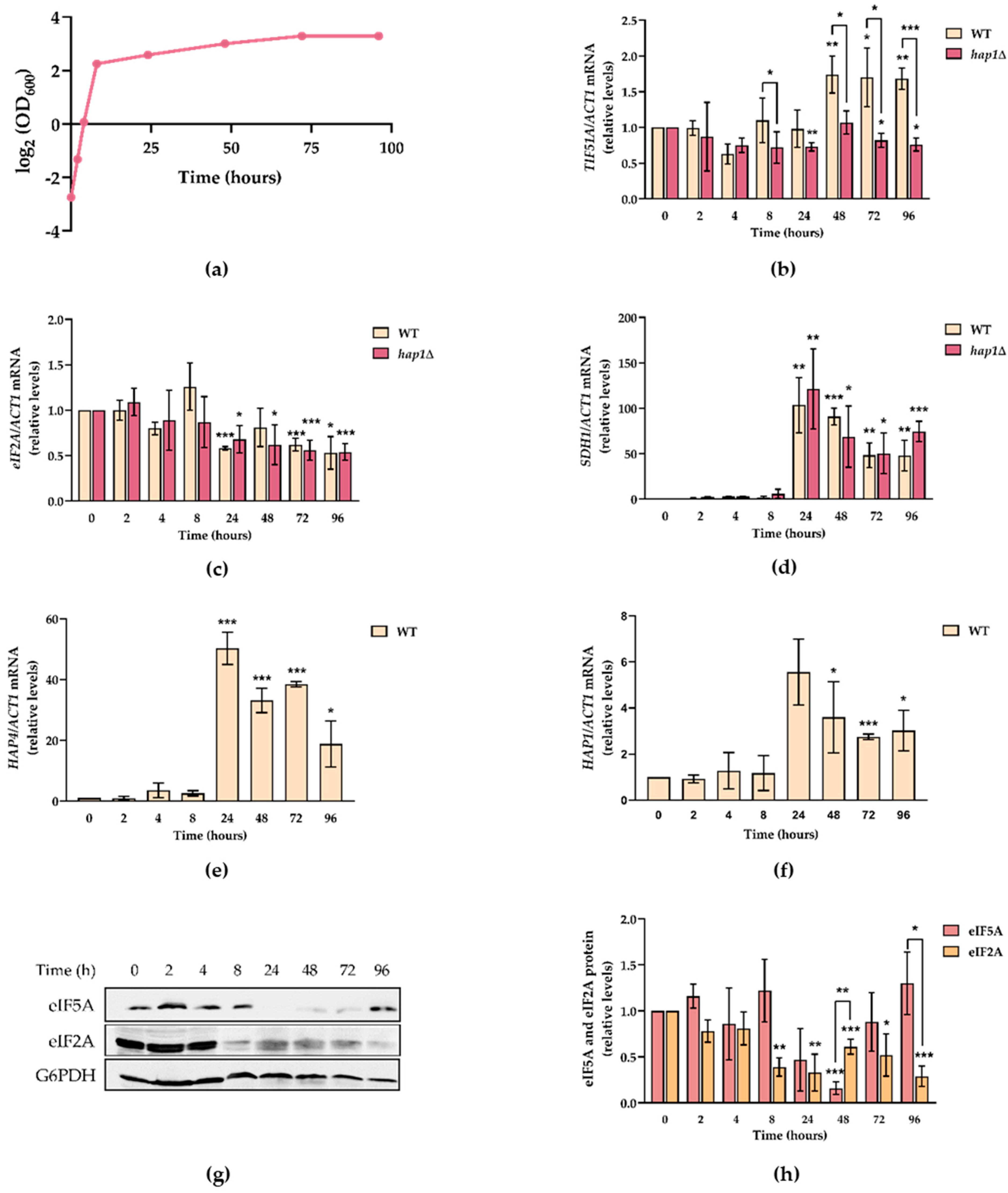 Ijms 22 00219 g003 Ijms 22 00219 g003